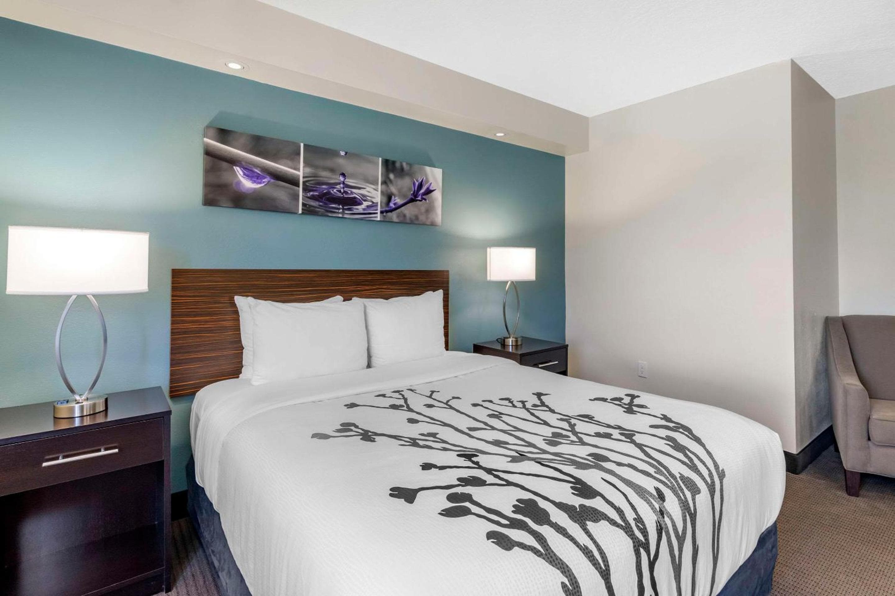 Sleep Inn Clearwater-St Petersburg