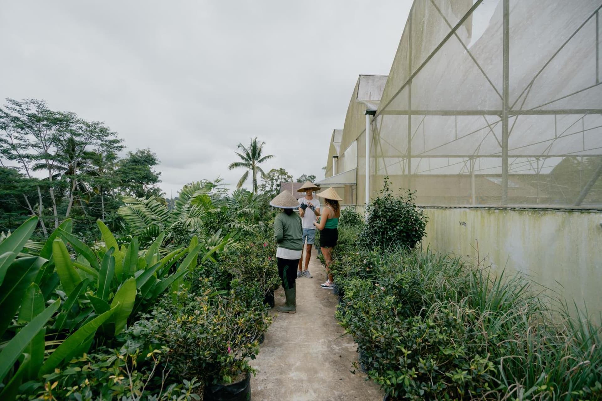 Sunyi Ubud