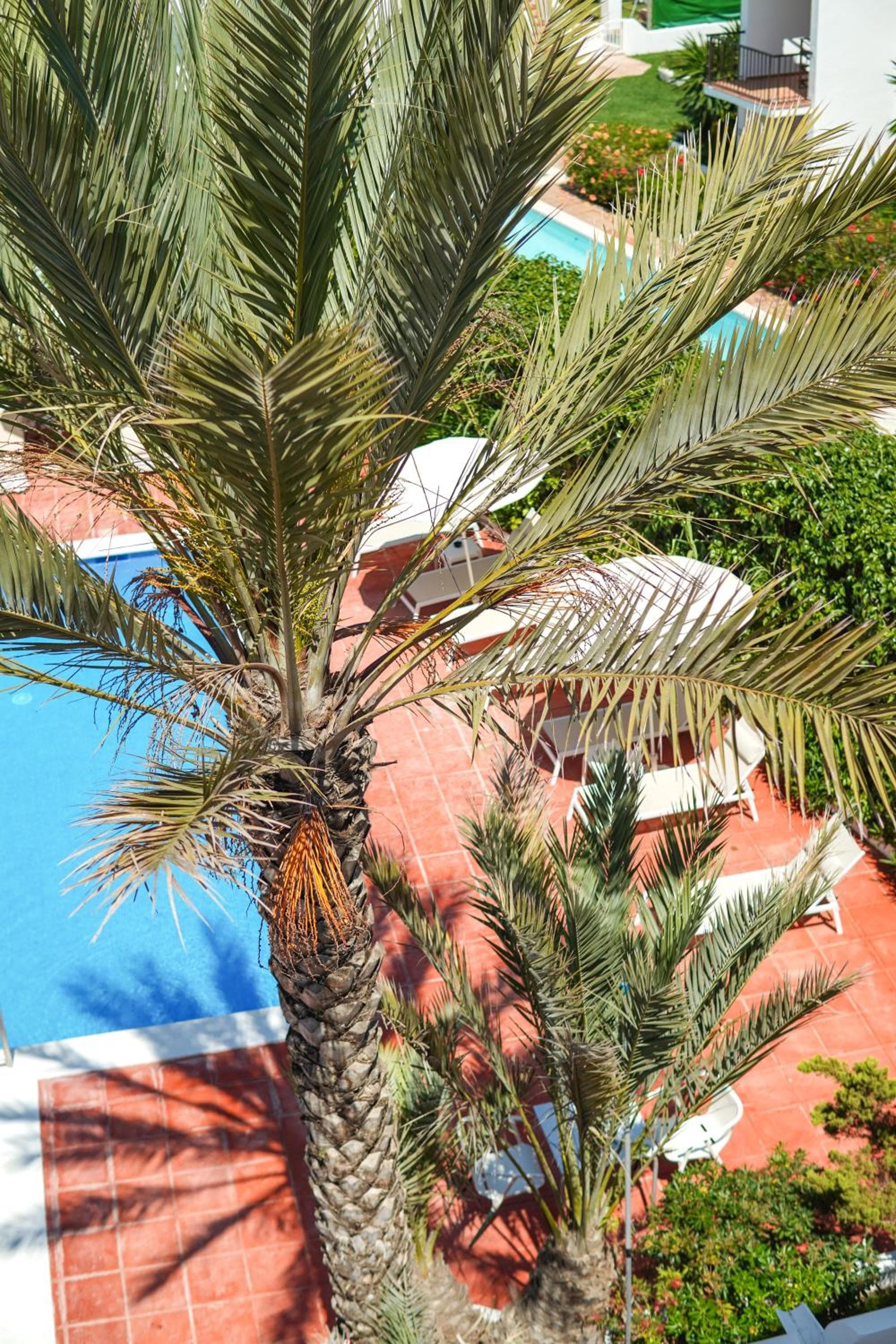 Typic Sandic Apartments