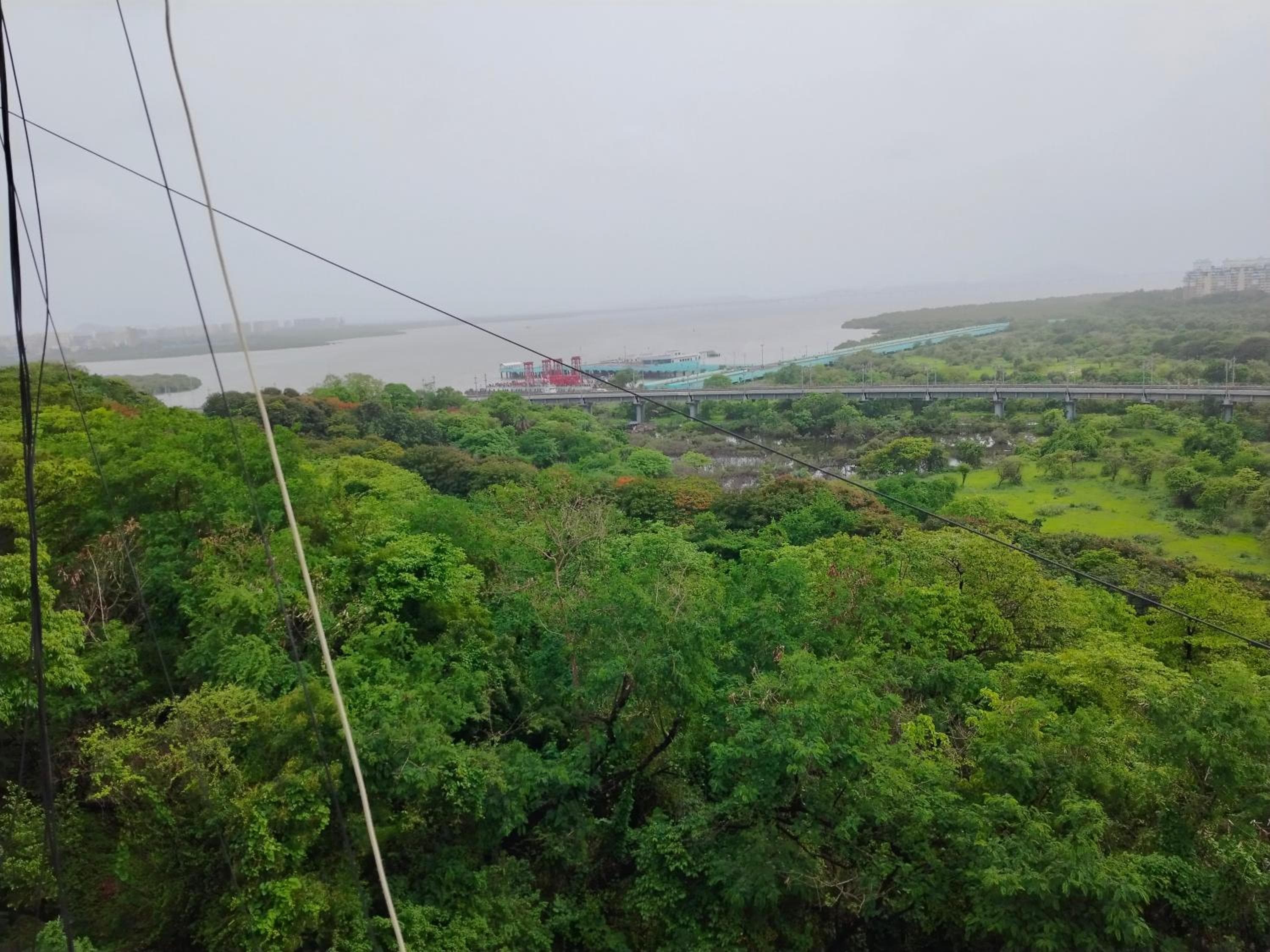 other