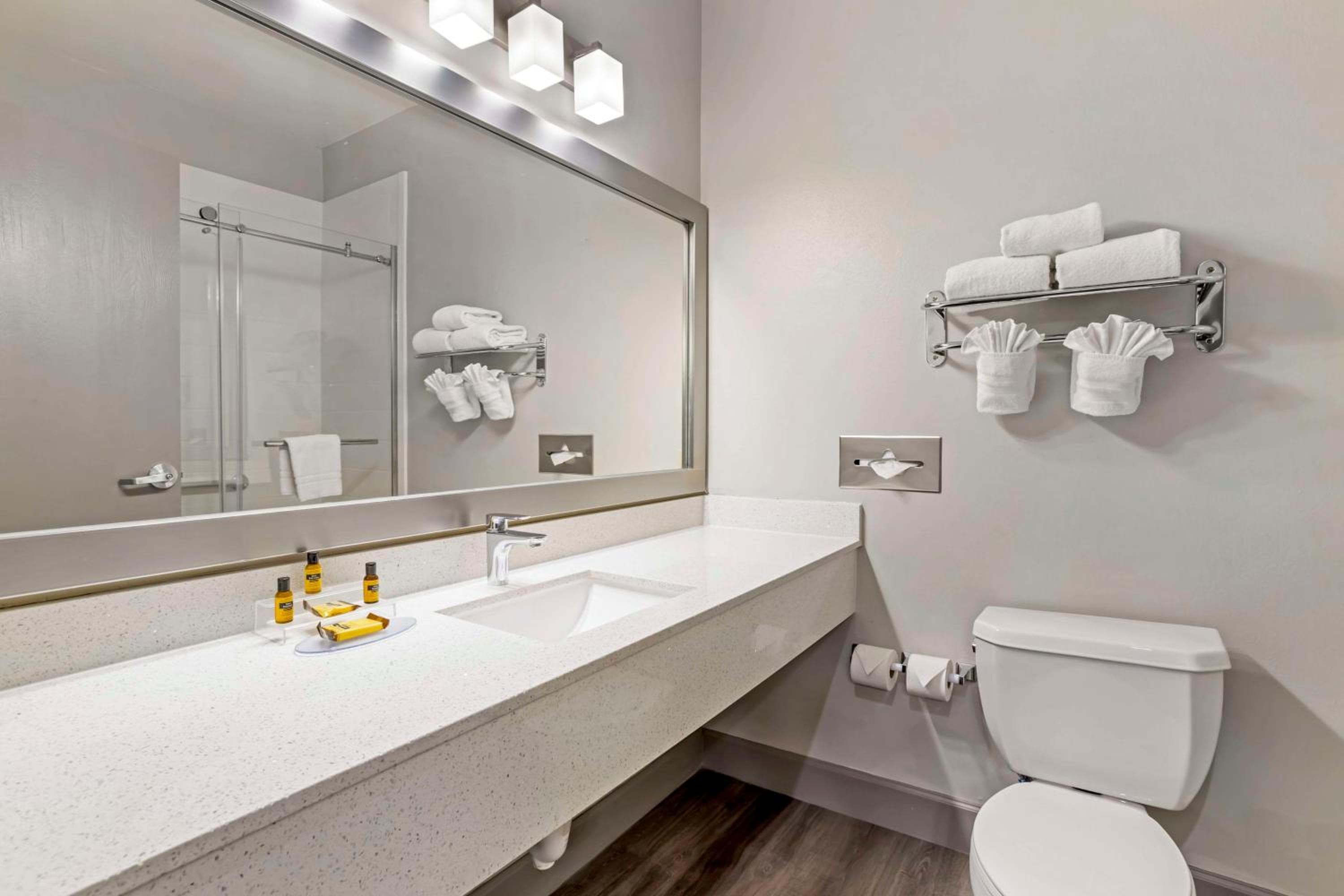 Best Western Plus Hobby Airport Inn & Suites
