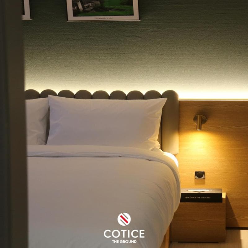 Cotice The Bridge