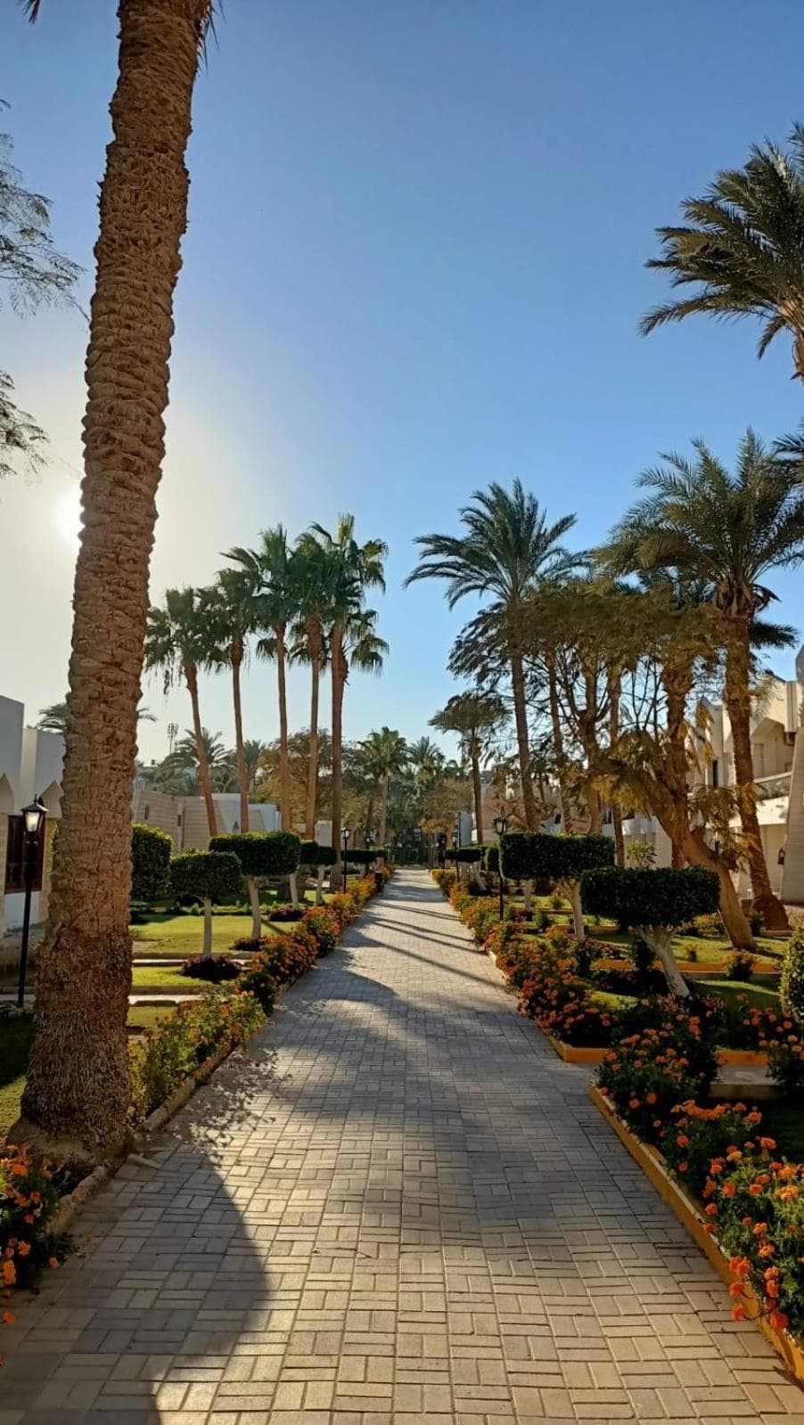 Regina Resort and Aqua Park Hurghada