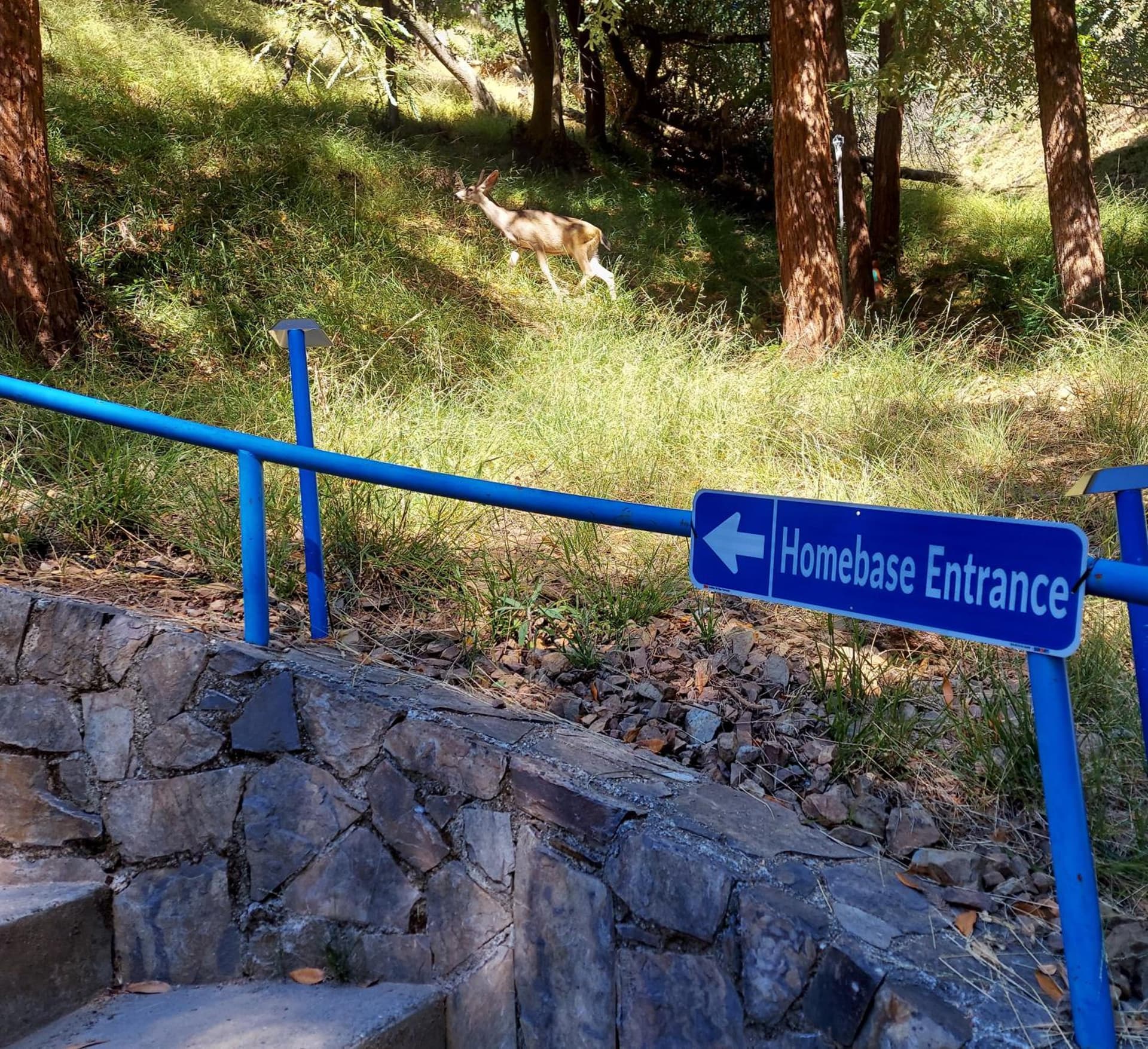 MV Homebase Walk to downtown Mt Tam Close to Muir Woods SF