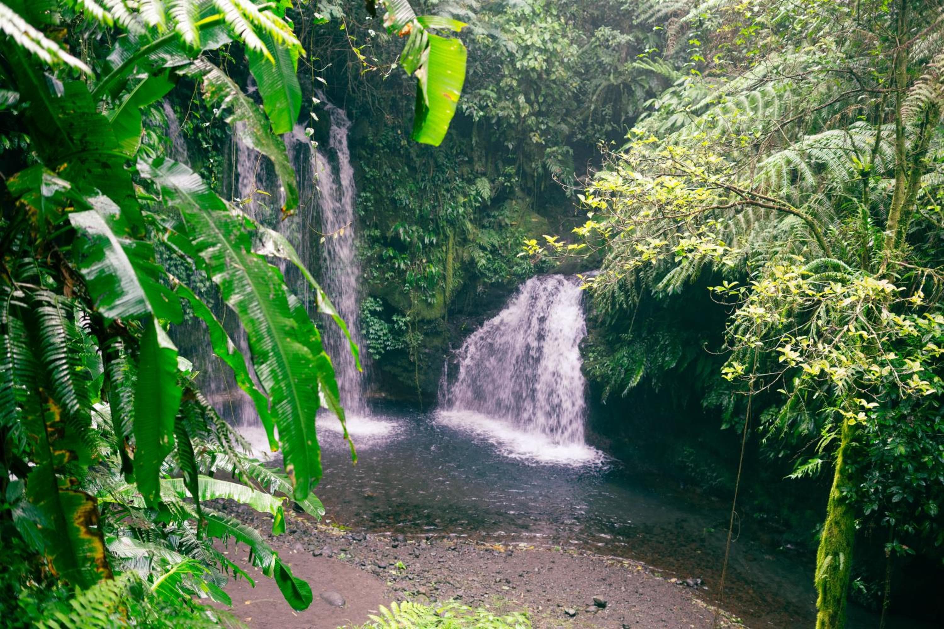 Jatiluwih Santya Loka Lodge & Twin Waterfall by Manara