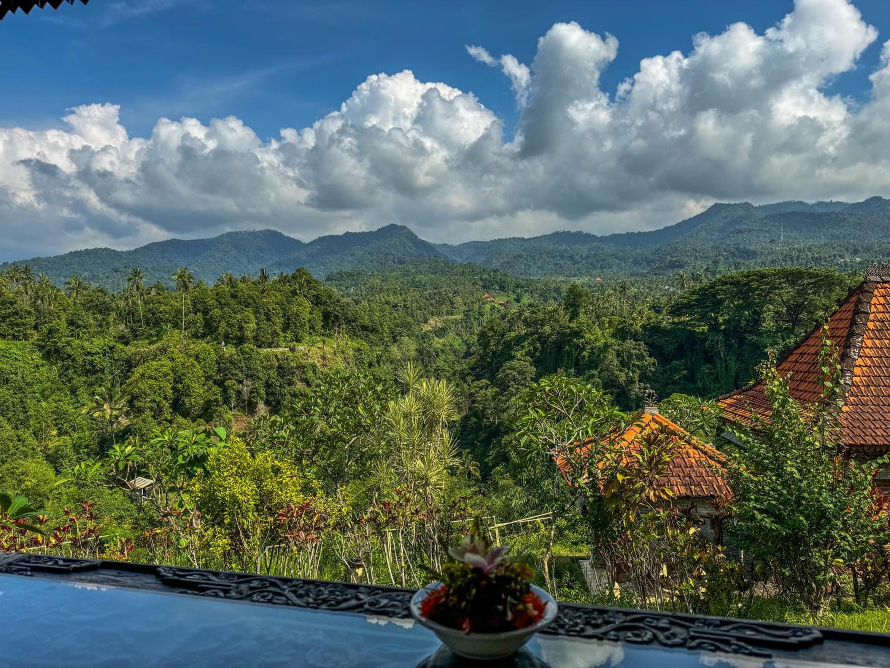 Shanti Natural Panorama View Hotel