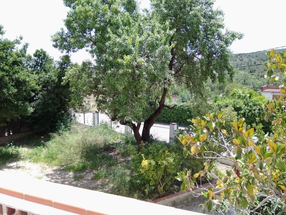 Alt Penedes, terra de vinya, sol, aigua i muntanya