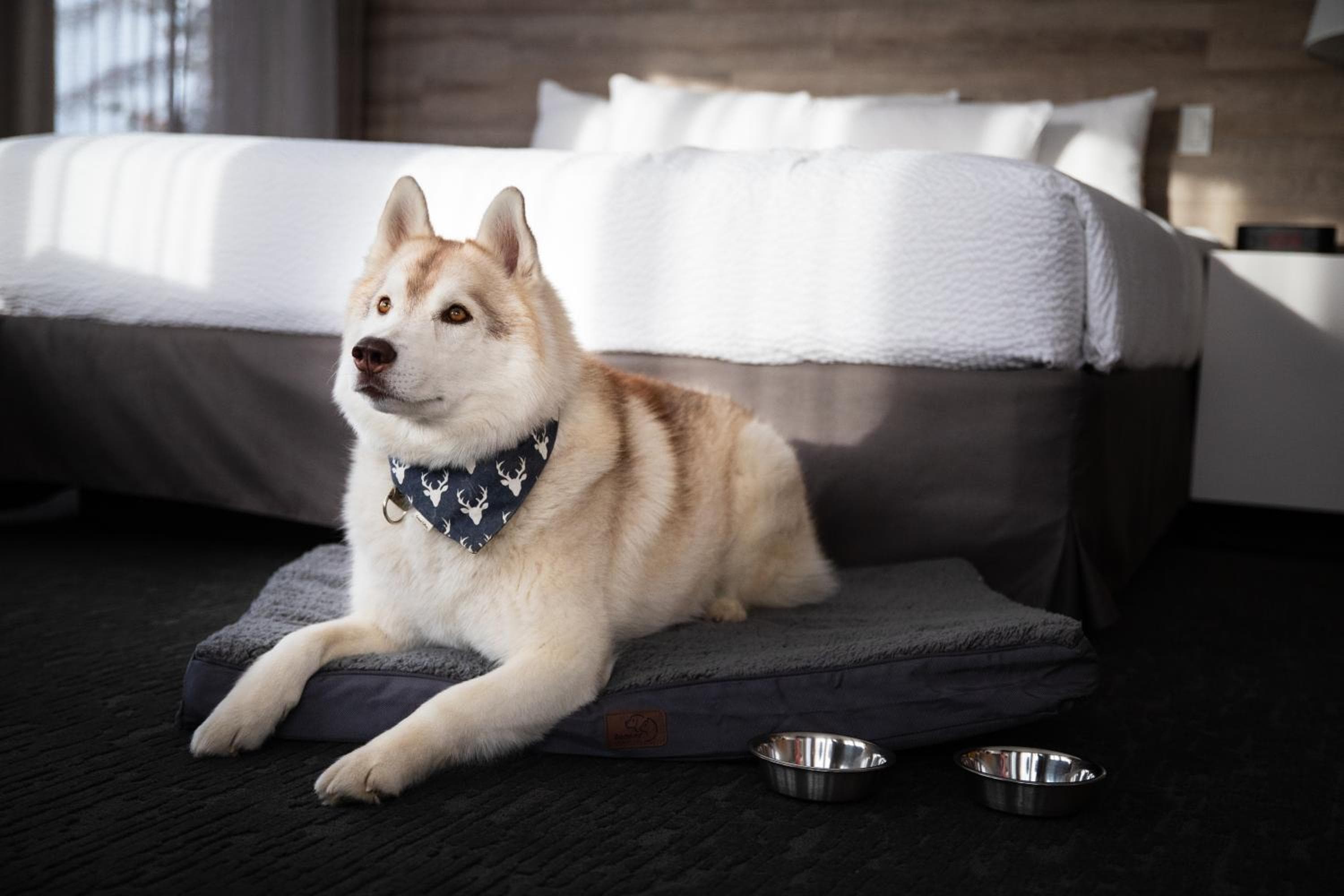 Elk + Avenue Hotel