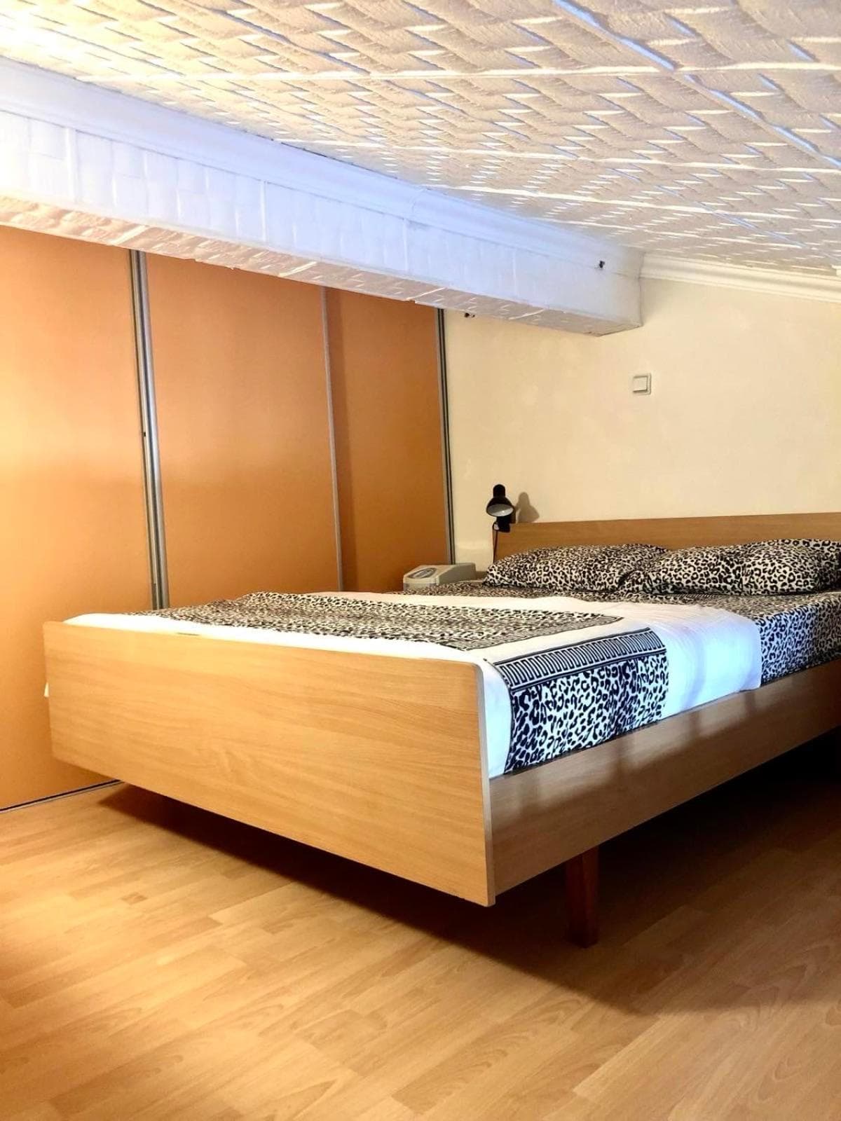 Loft apartment Kapisoda