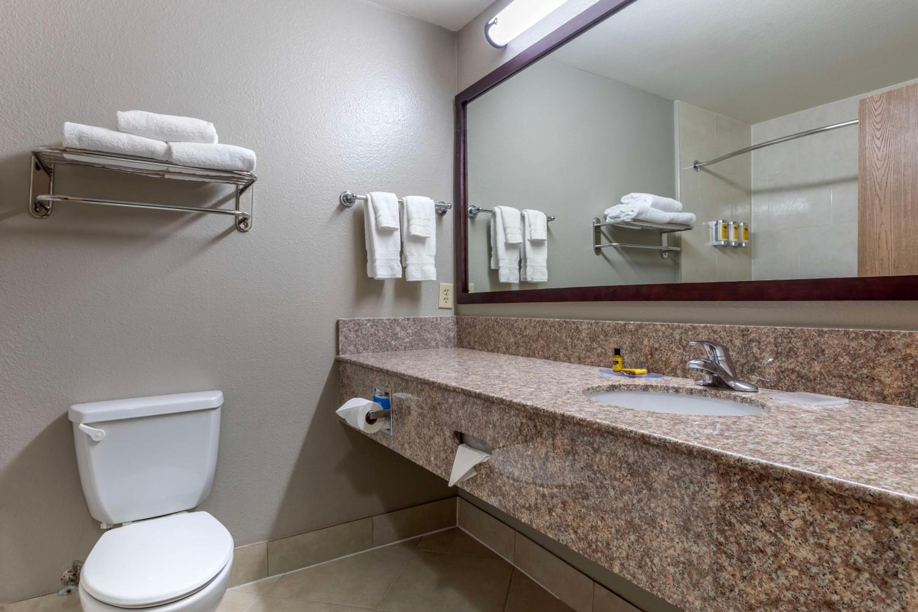 Best Western Plus Mansfield Inn & Suites