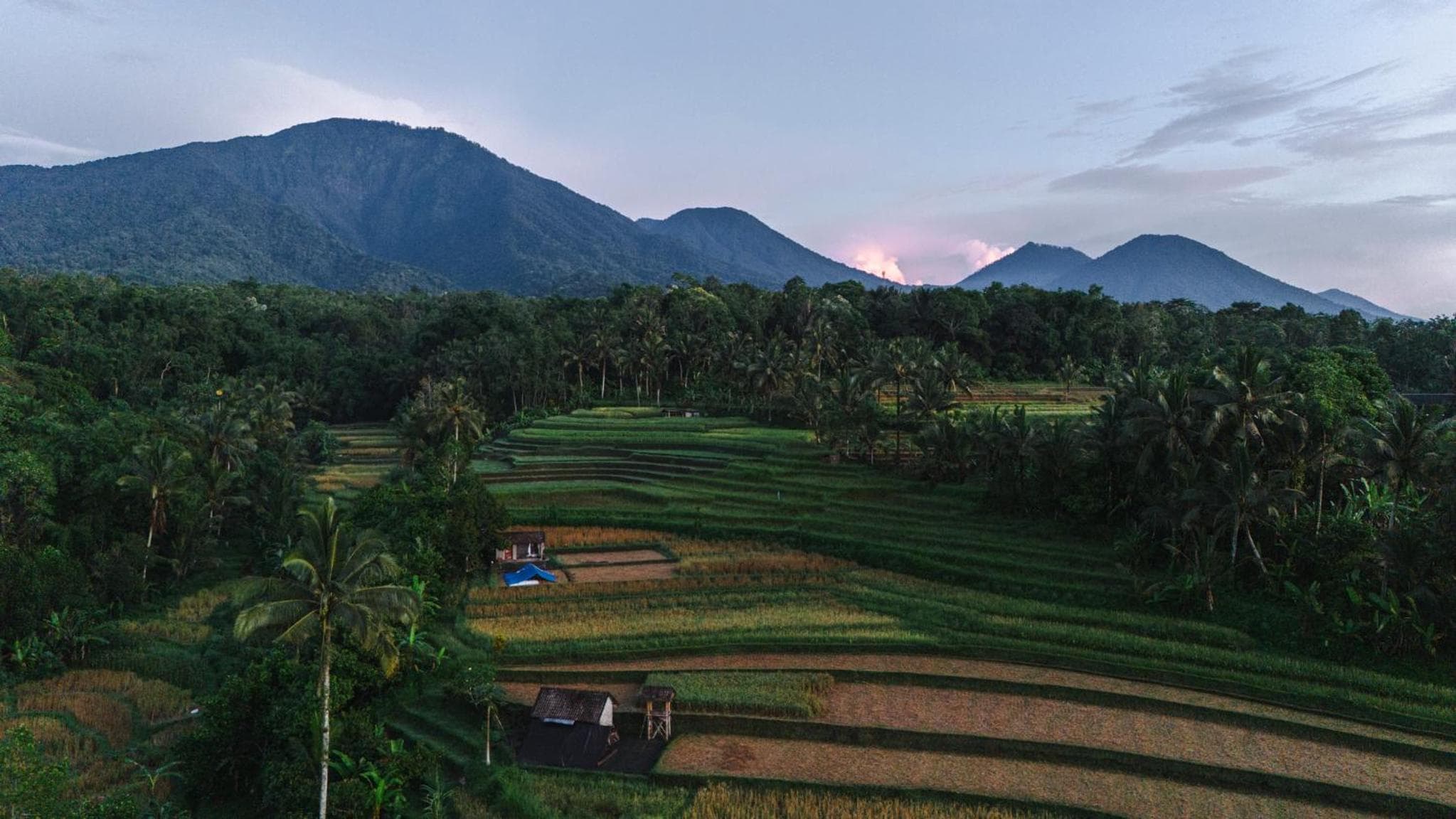 Oemah Tepi Sawah