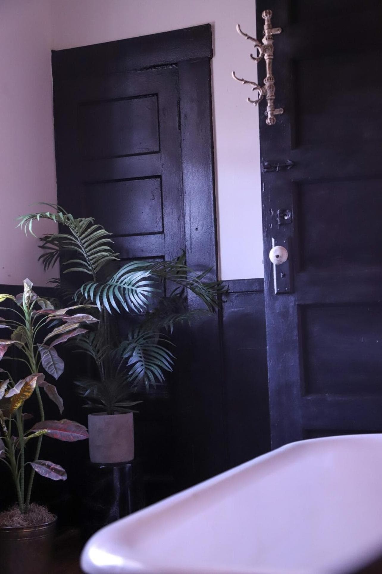 Downtown Casa Mina Cozy Free Parking