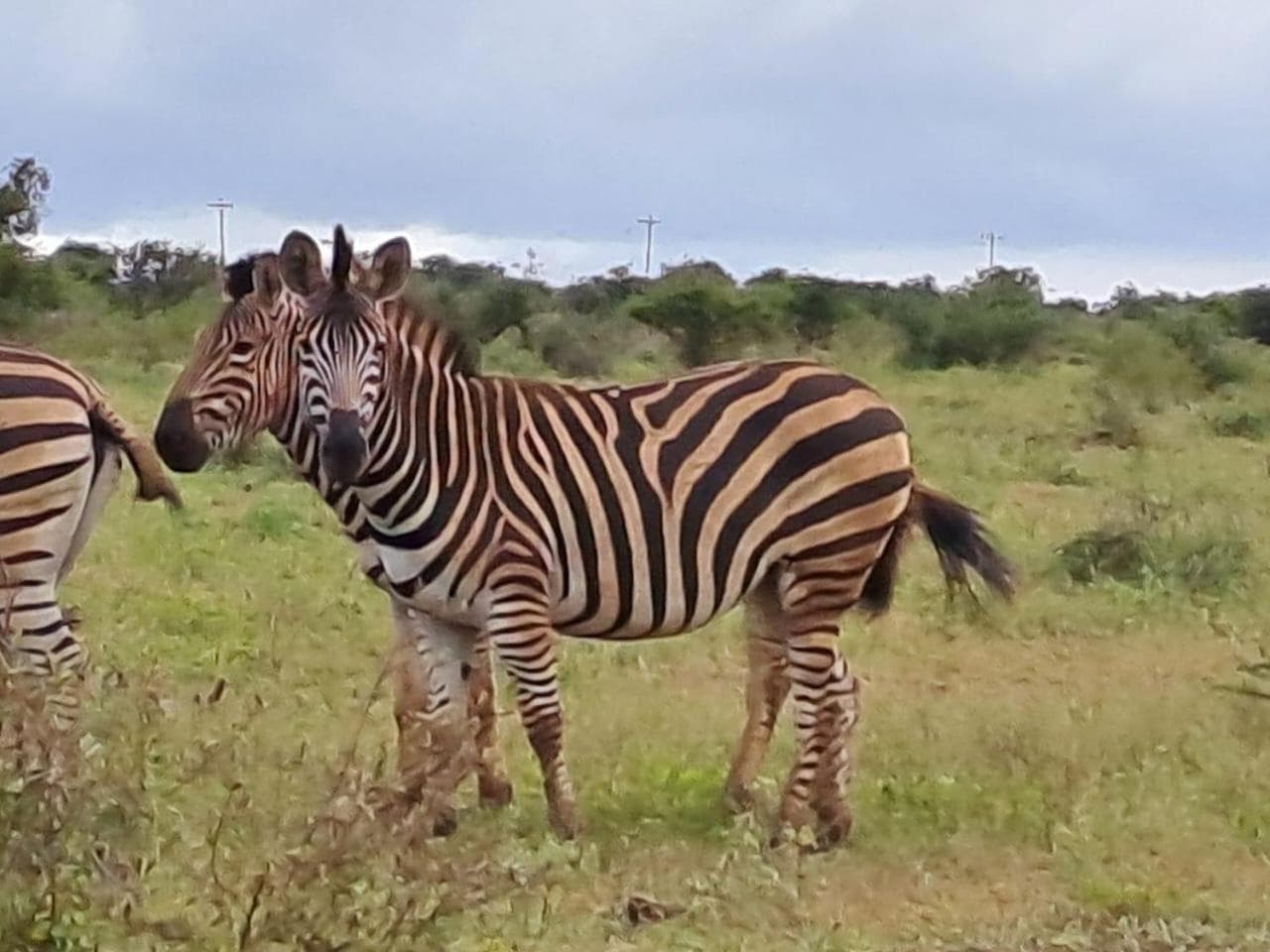 Khululeka Safaris Lodge