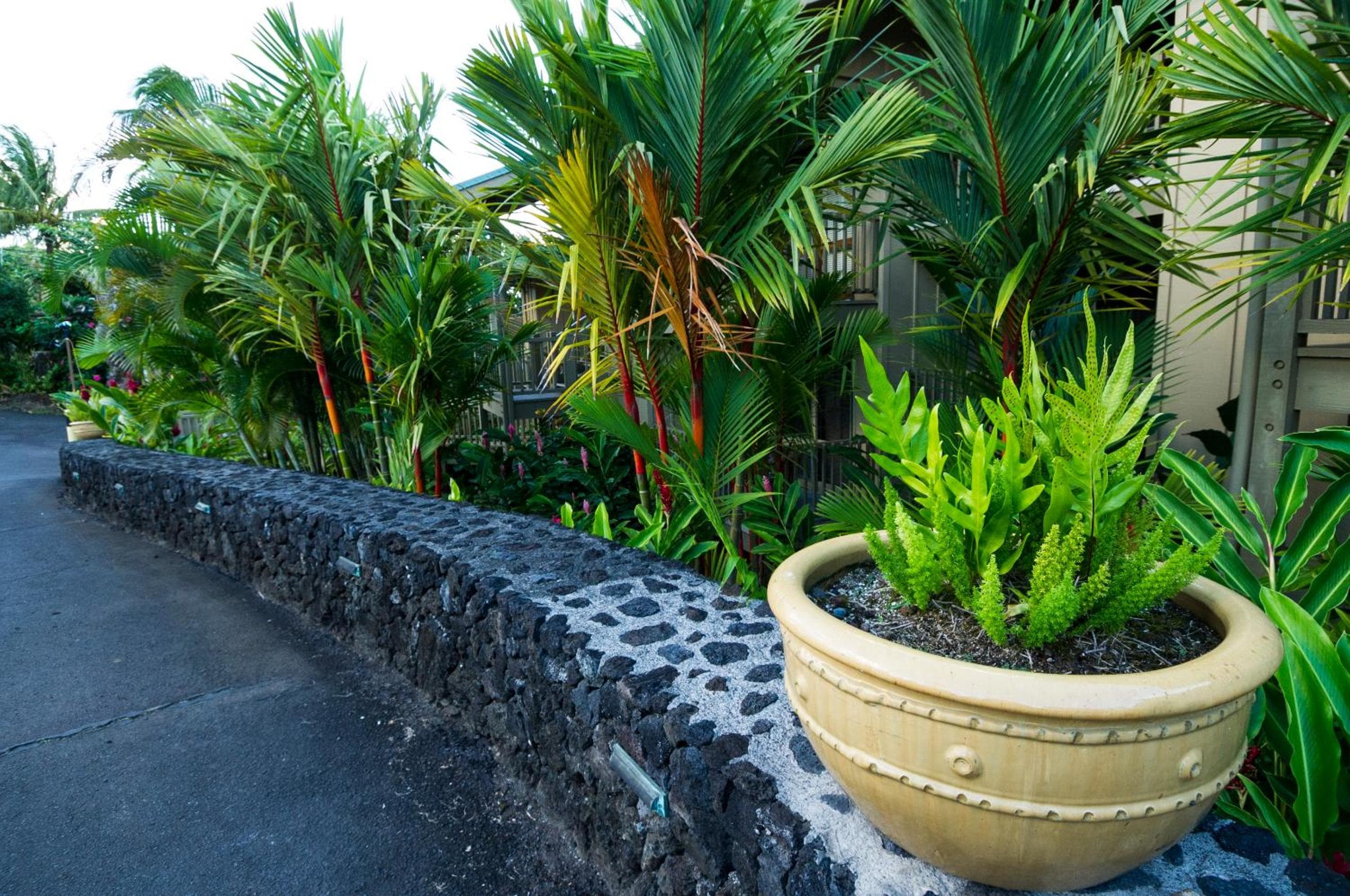 Hana Kai Maui - #2 Popolana Oceanfront studio