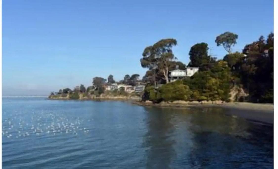 Oasis Point