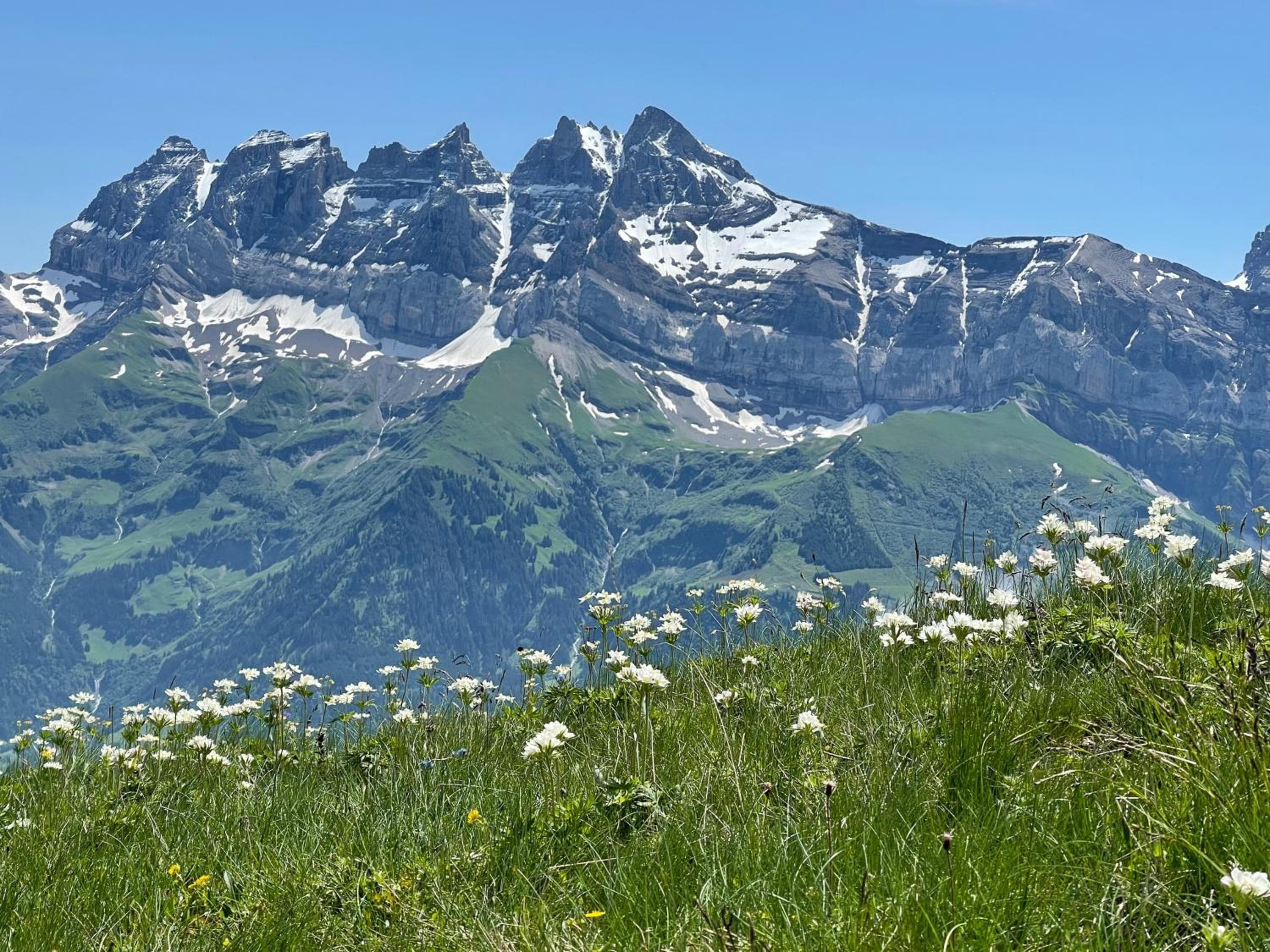 Chalet Montriond - Bike & Ski