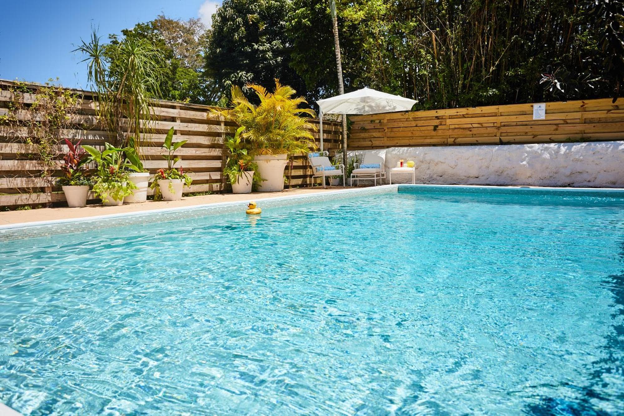 Resort-Style Home with Pool House