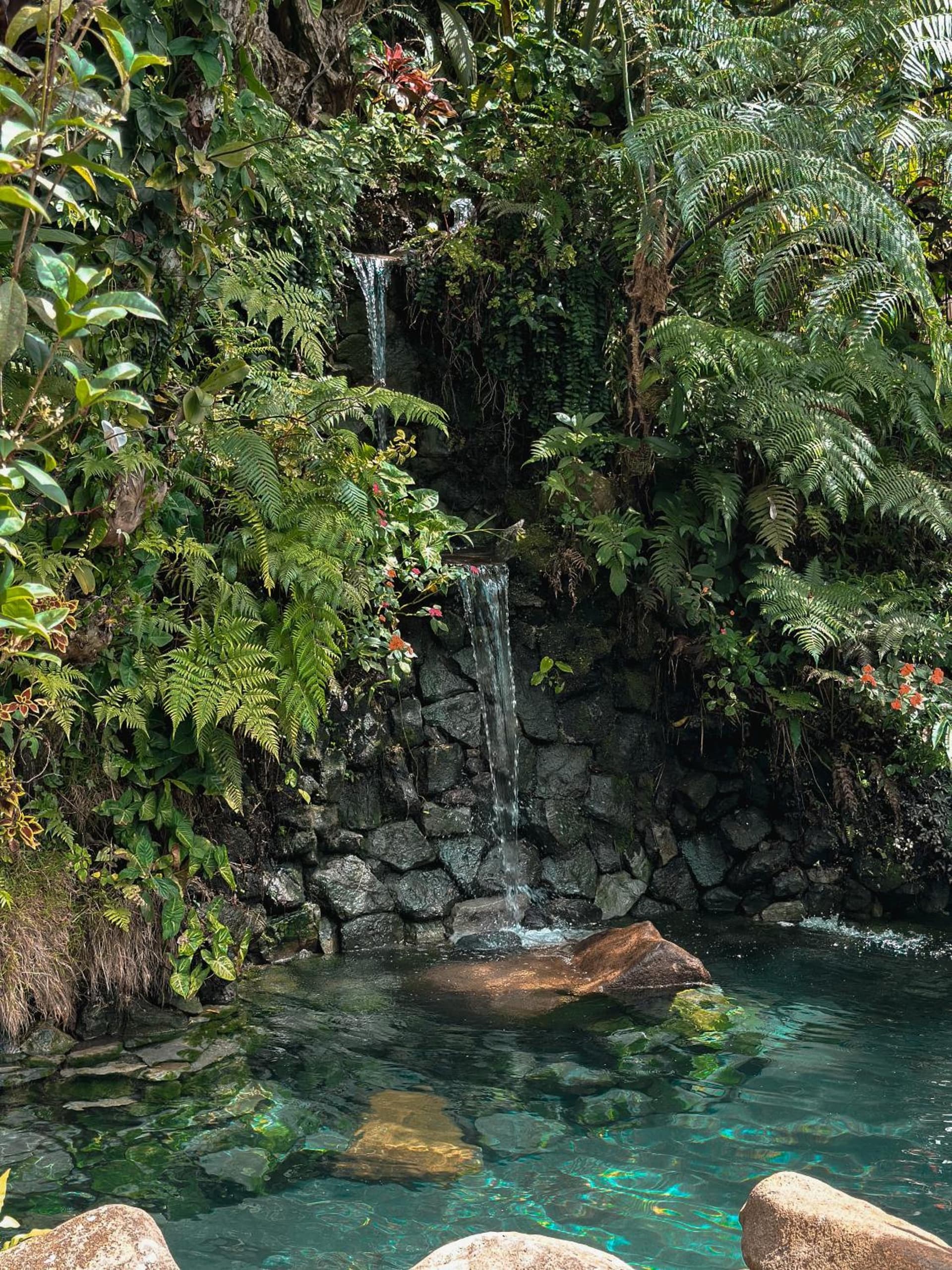Batak Legacy, A Jungle Hideaway