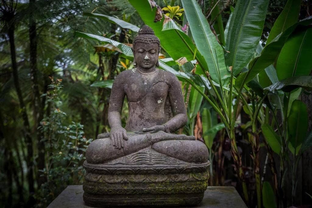 Batak Legacy, A Jungle Hideaway