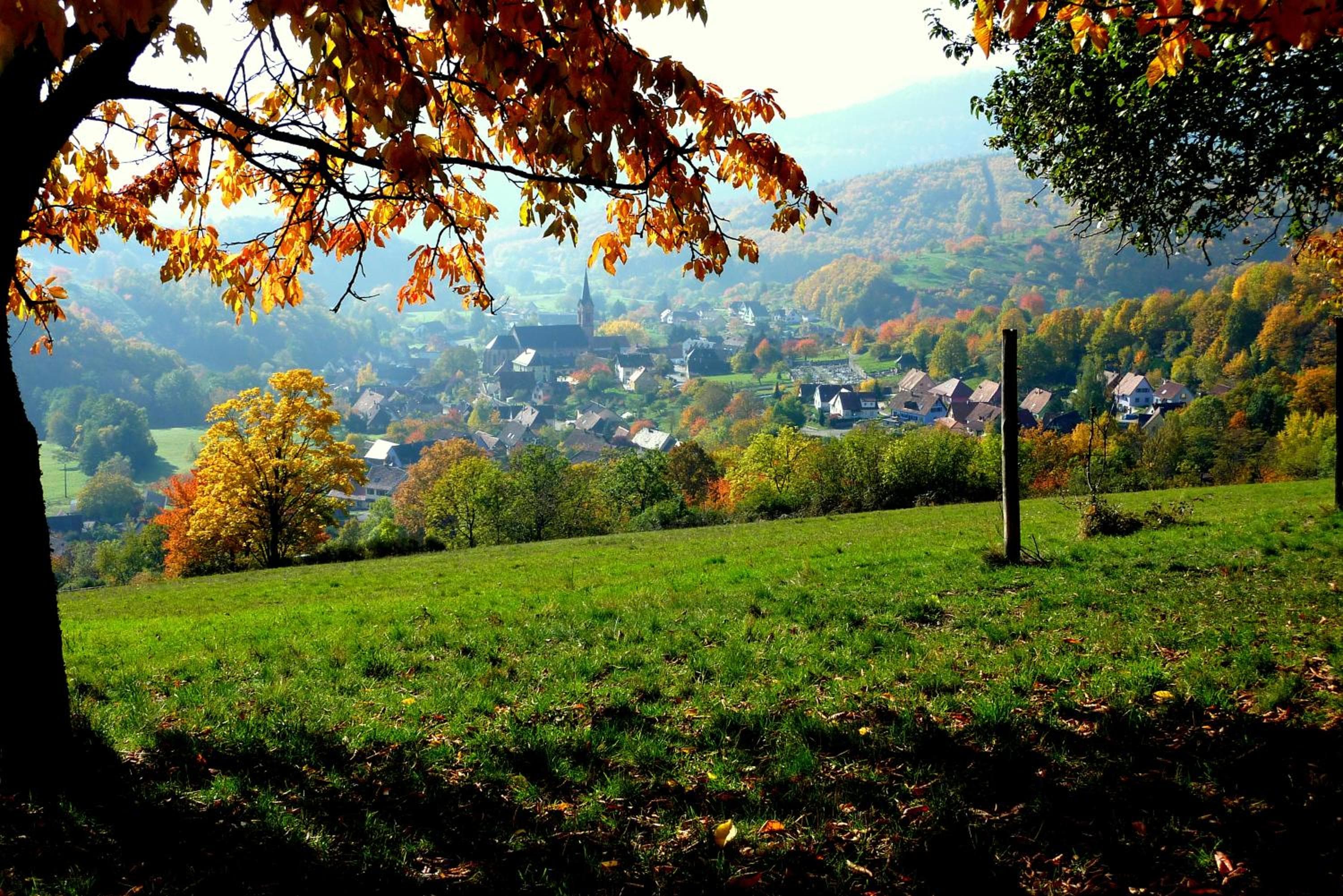 Gîte Schlitteur Et Sapiniere