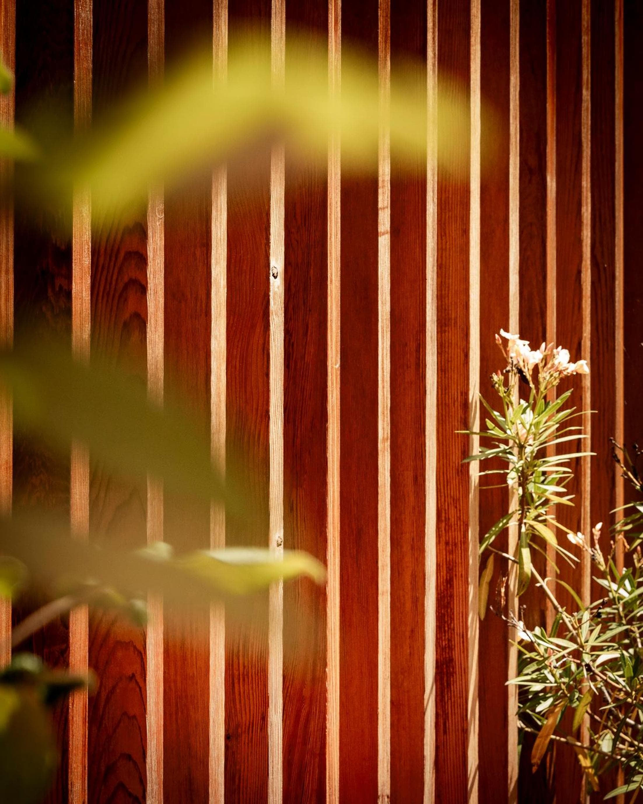 Greulich Design & Boutique Hotel