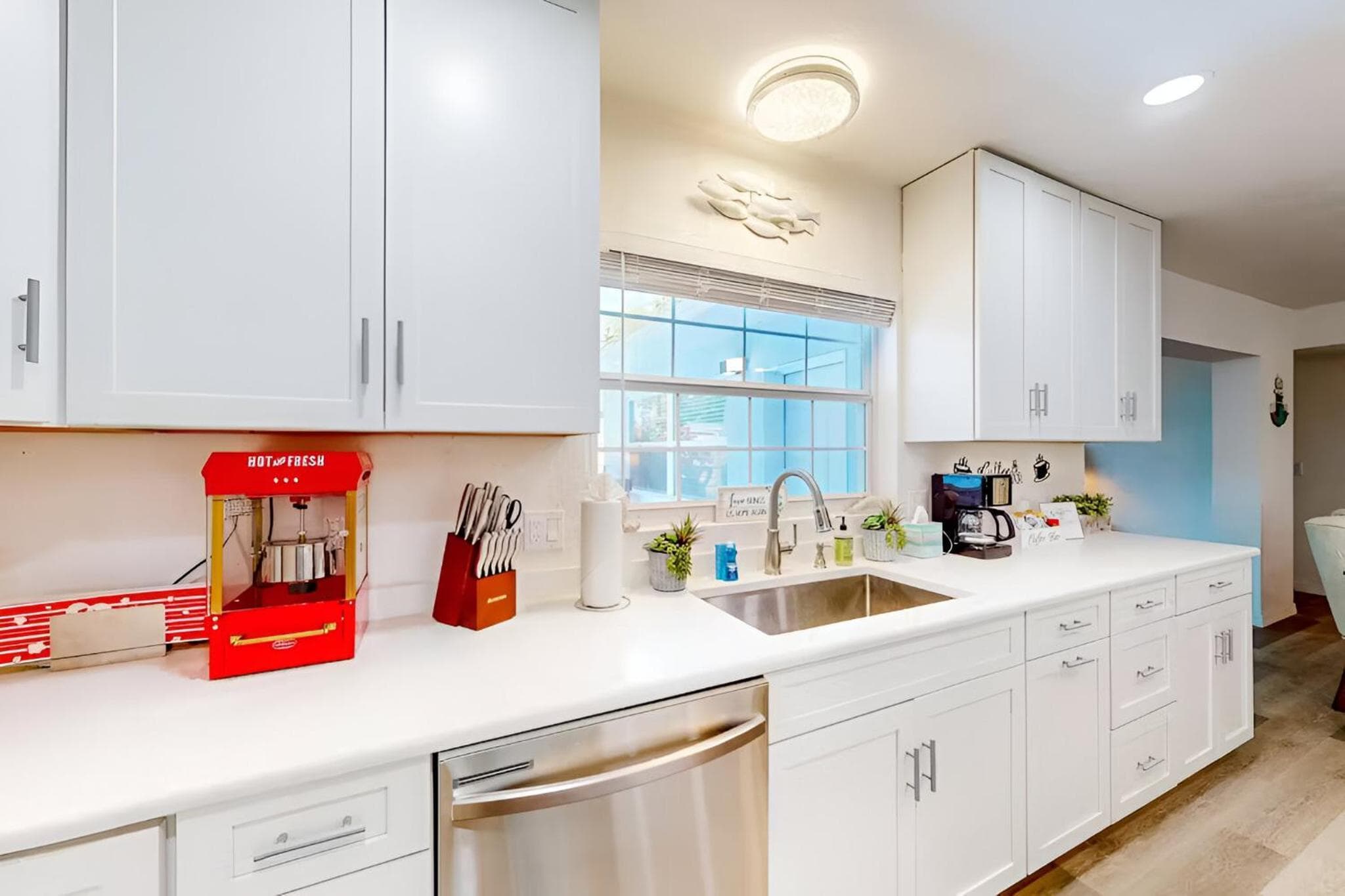Spacious 4 bedroom 3 bath Clearwater Vacation House Cowboy Pool Fire Pit Games Close to Clearwater Beach Biking Trail Farmers Markets Harbor Health Spa Bay