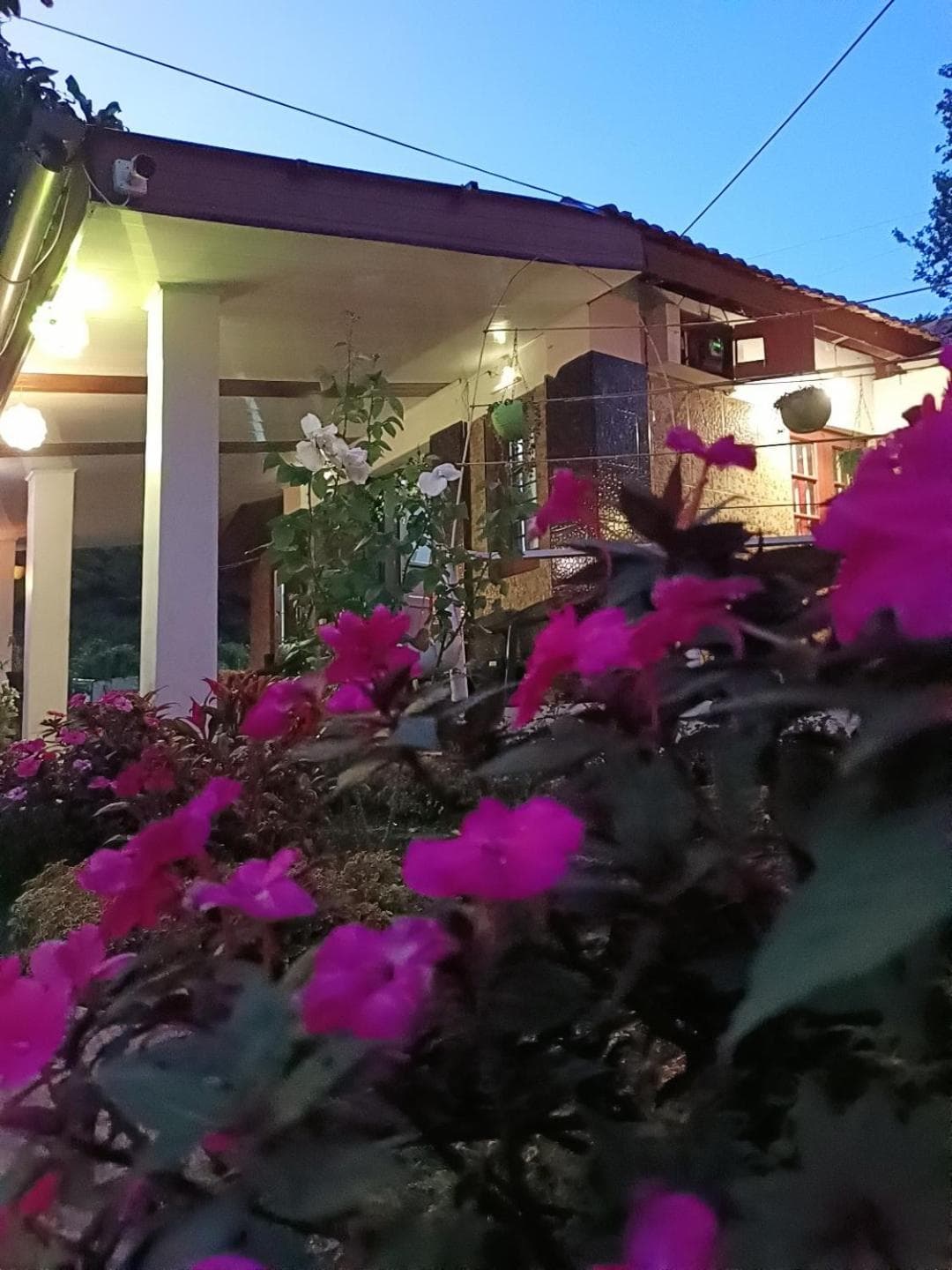 Munnar home stay