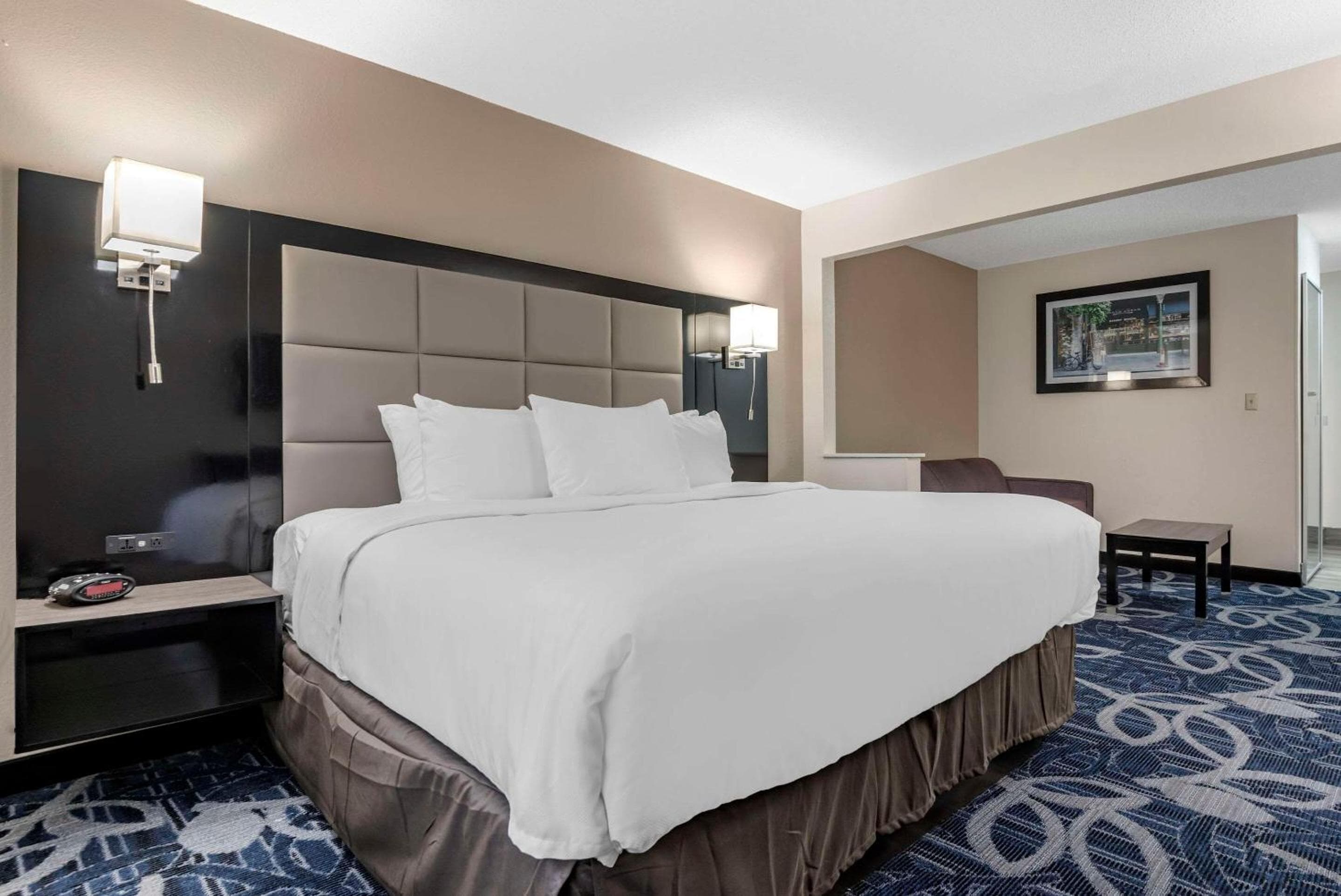 Comfort Inn & Suites Liverpool - Syracuse