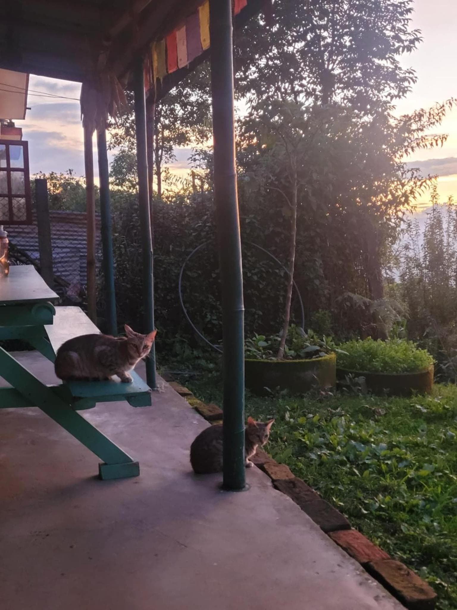 Sisters homestay