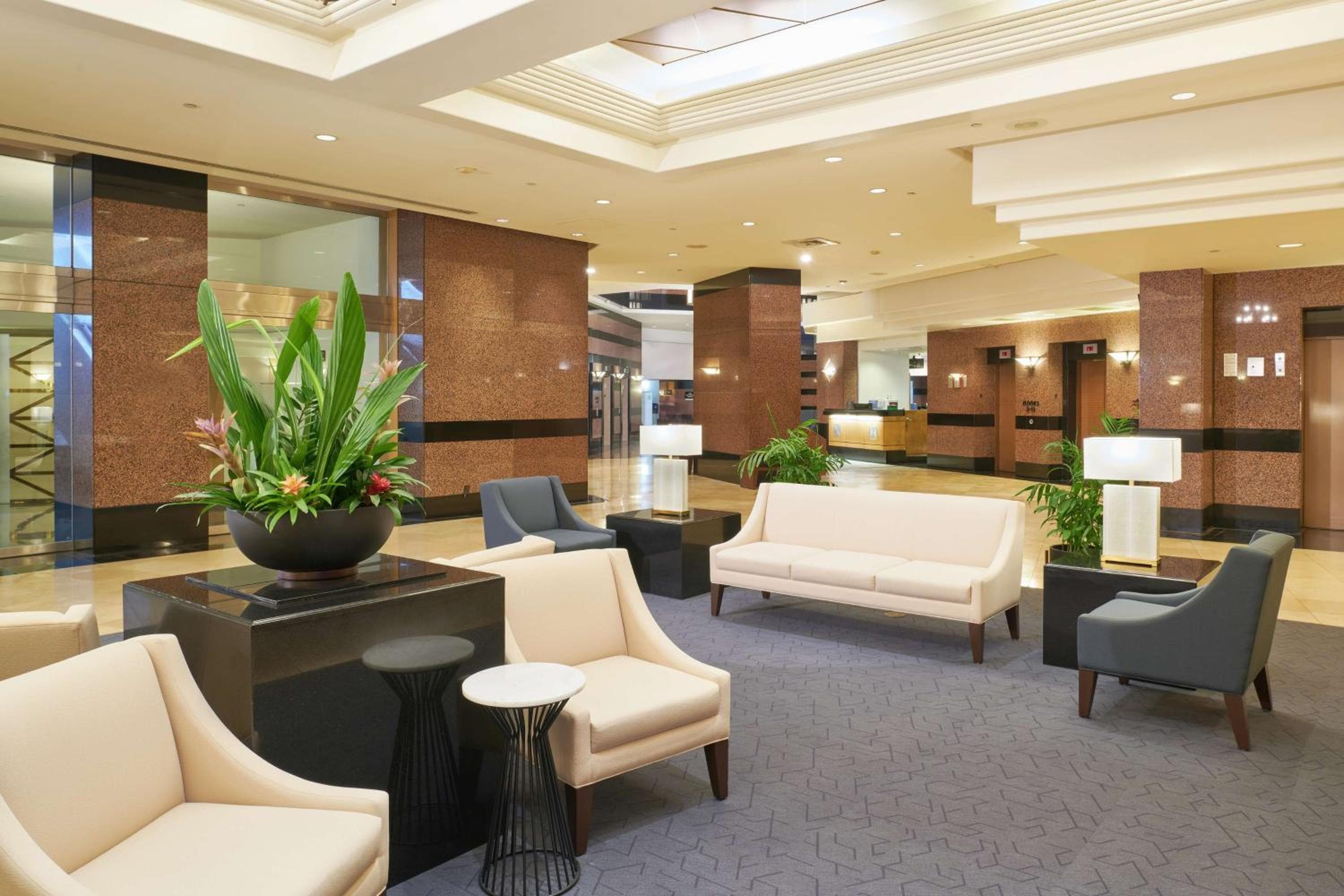 recepcion & lobby