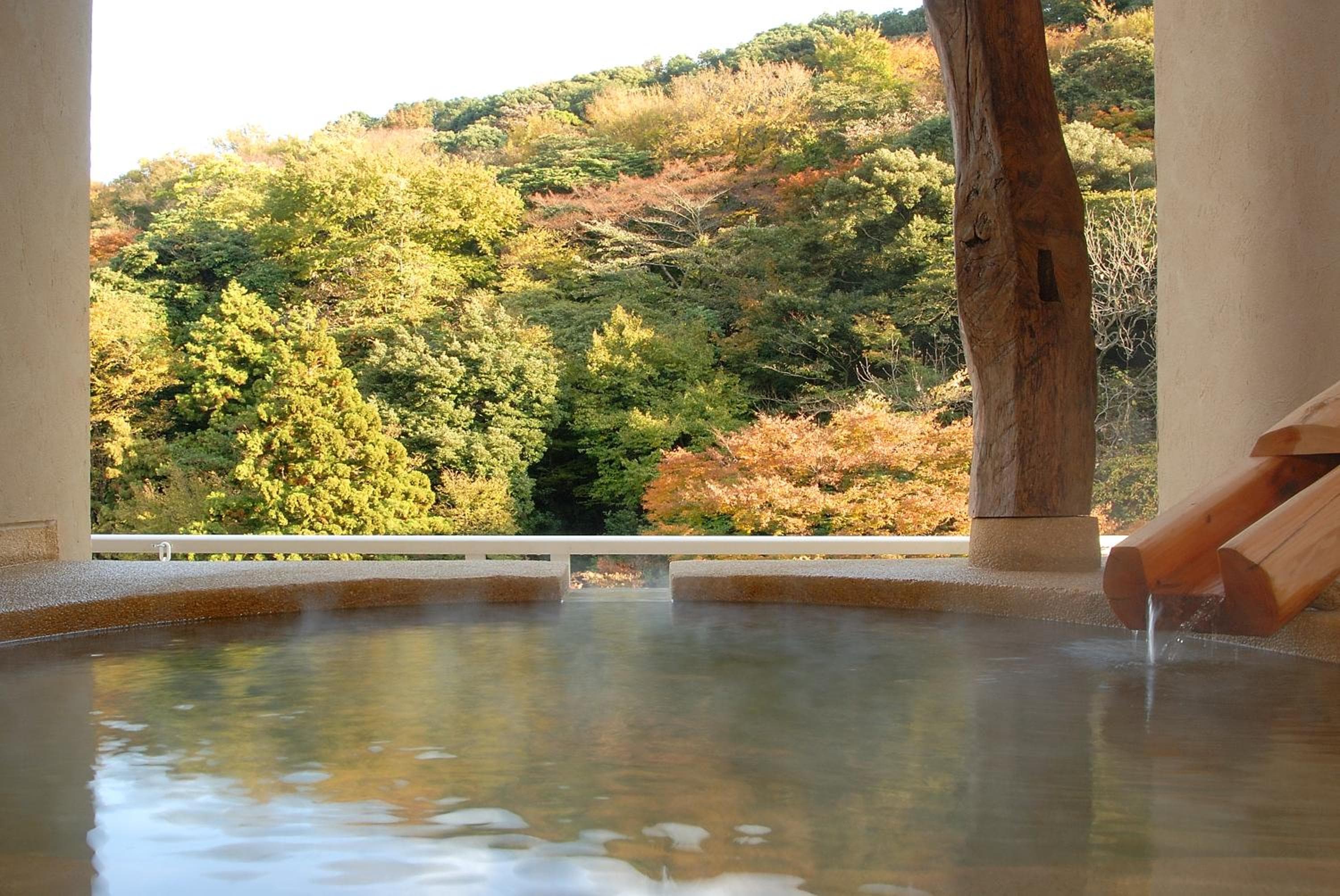 Hakone Suimeisou