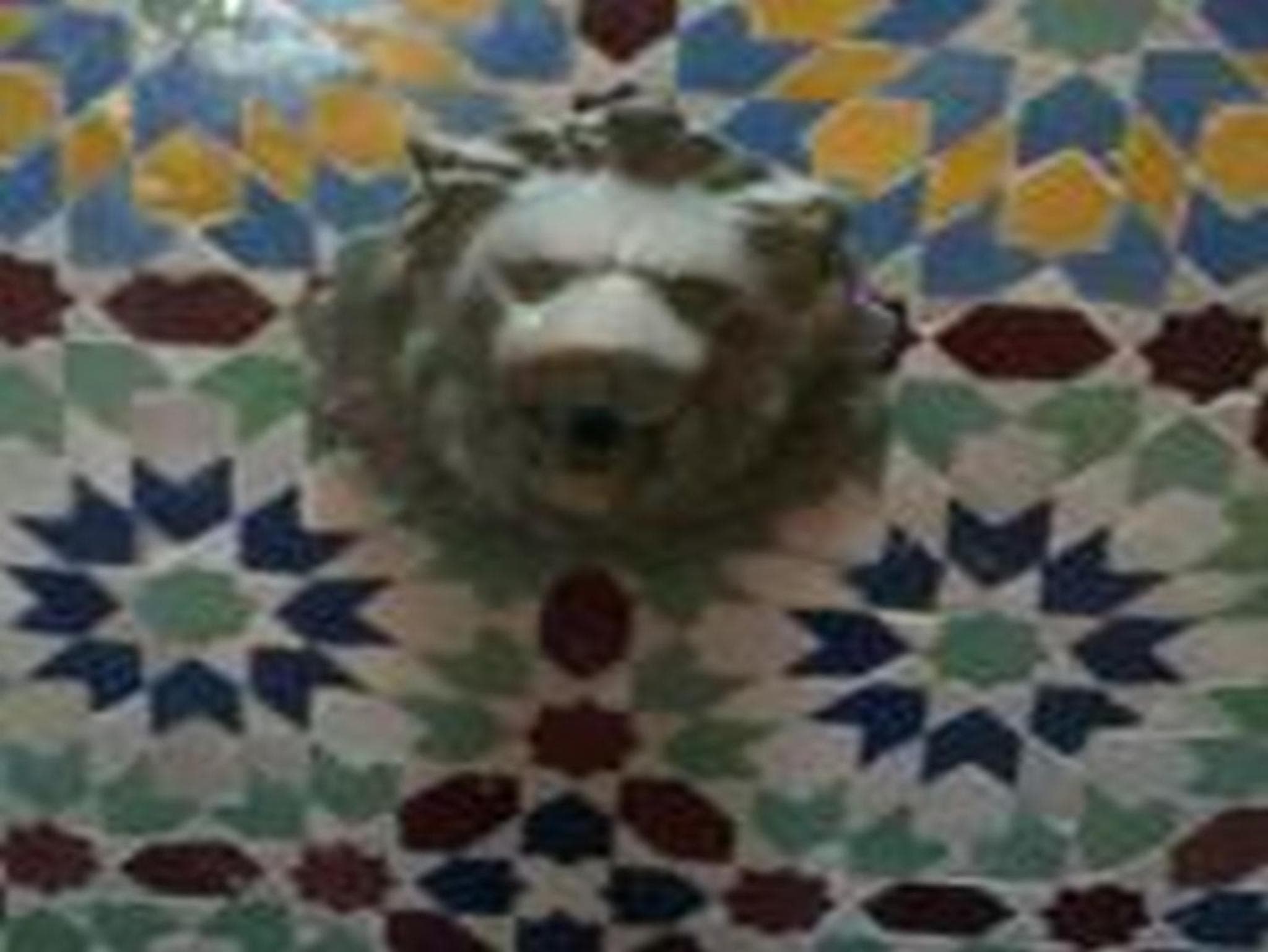 Riad Etoile D'essaouira