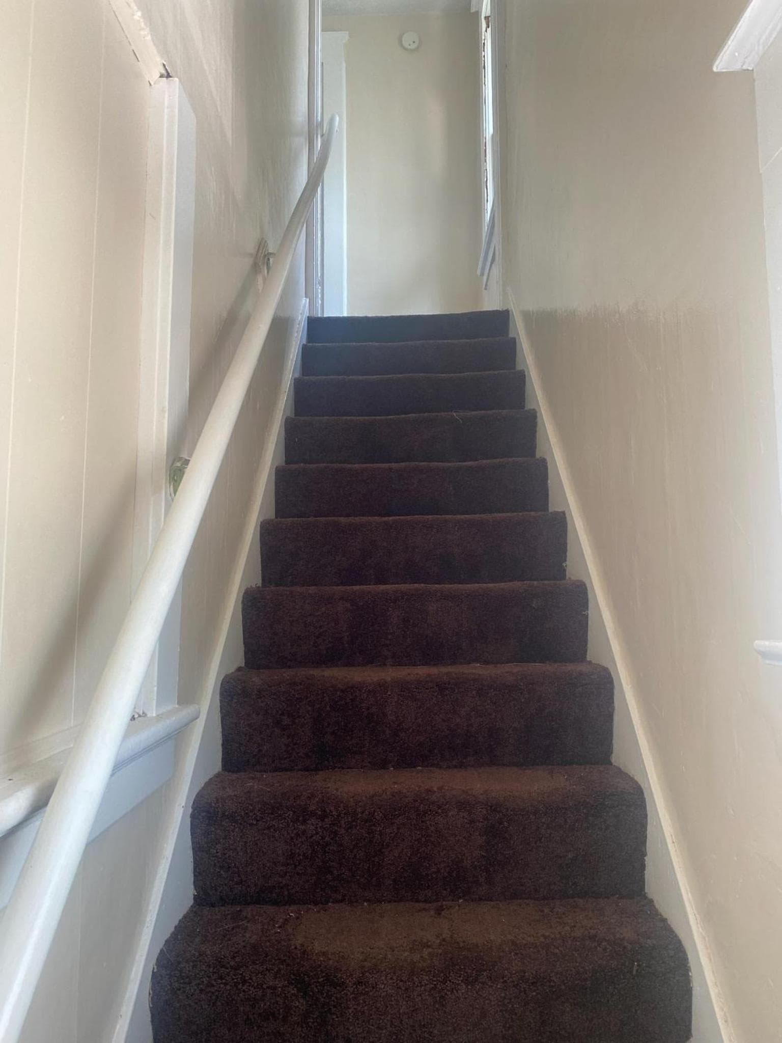 Magnolia APT 2