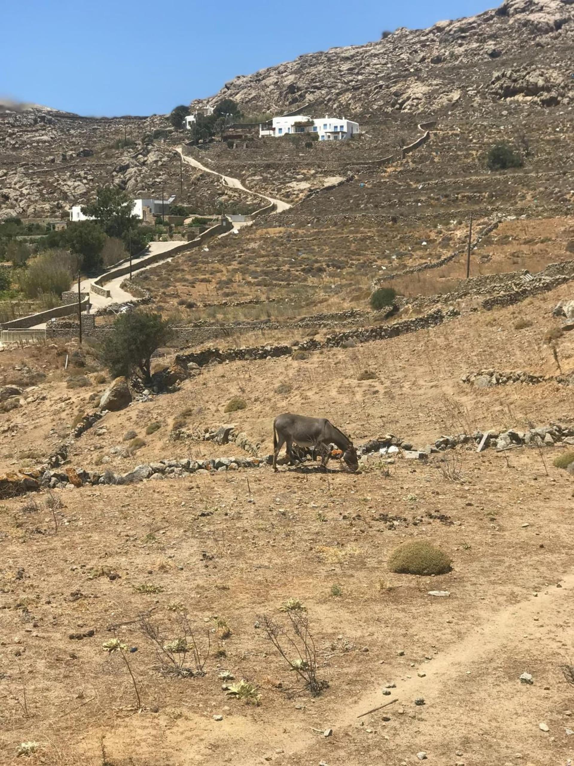 Naira Family Suites Mykonos