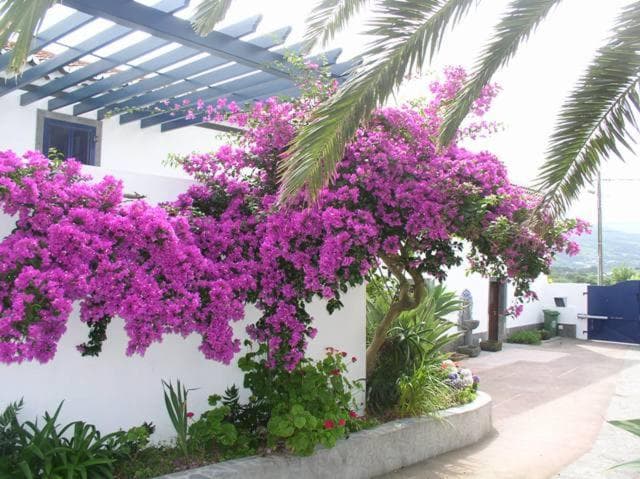Quinta dos Afectos