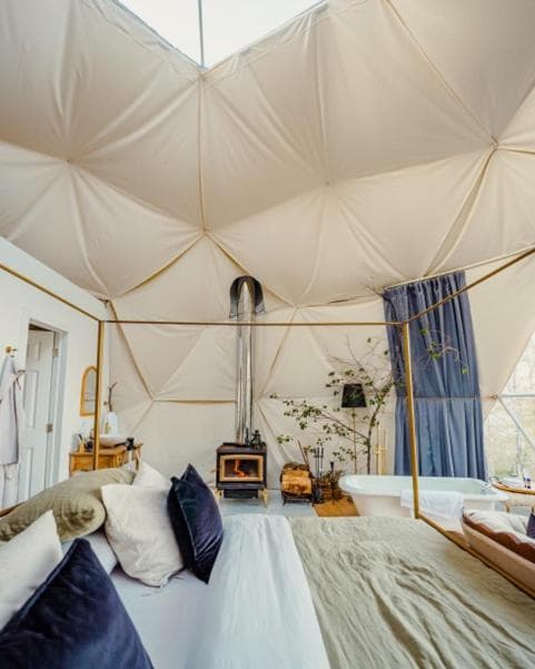 Forest Shore Dome
