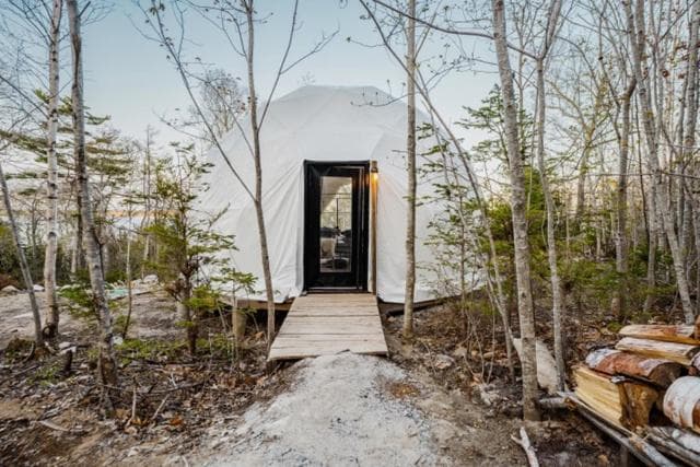 Forest Shore Dome