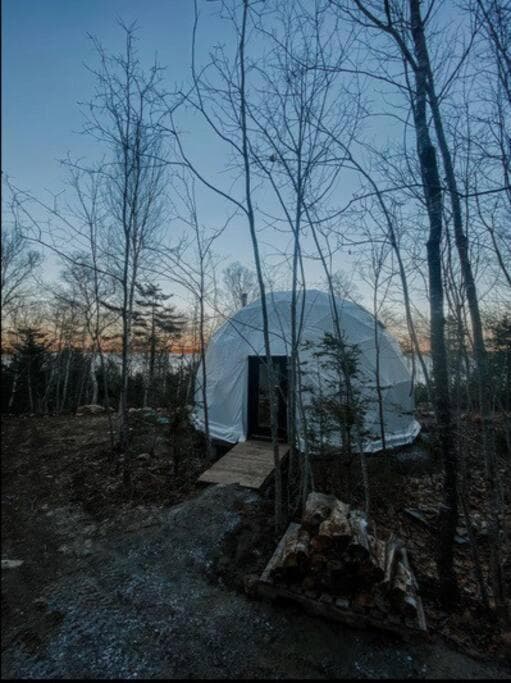 Forest Shore Dome