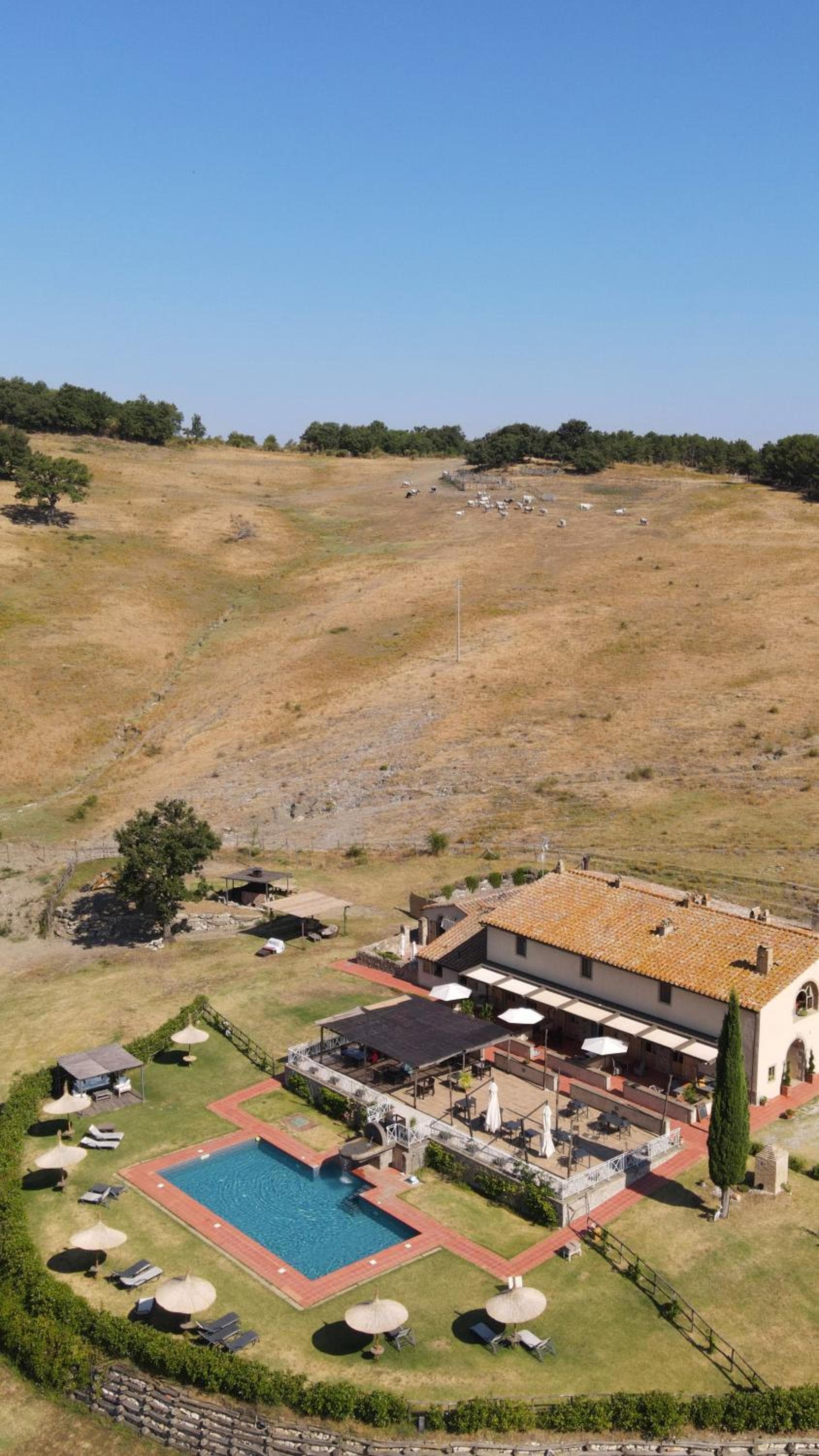 Terre di GIORGIO Agriturismo Villa la Palazzetta
