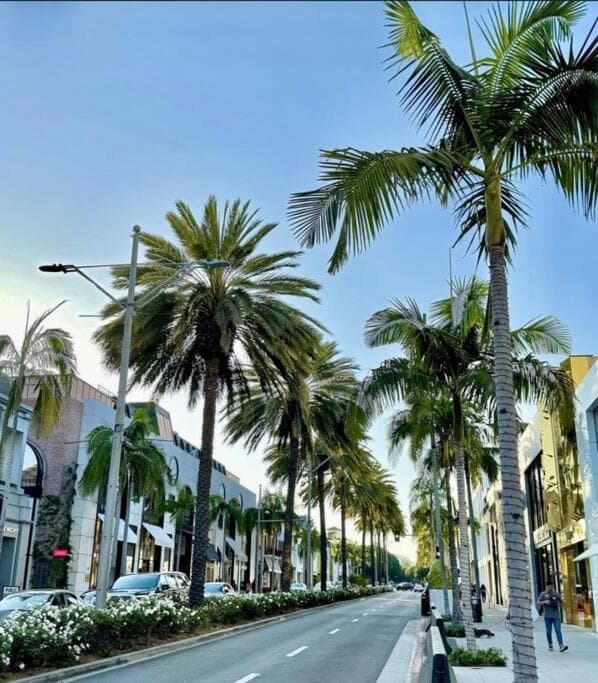 Designer 2 Bedroom Apt Beverly Hills-Rodeo Drive