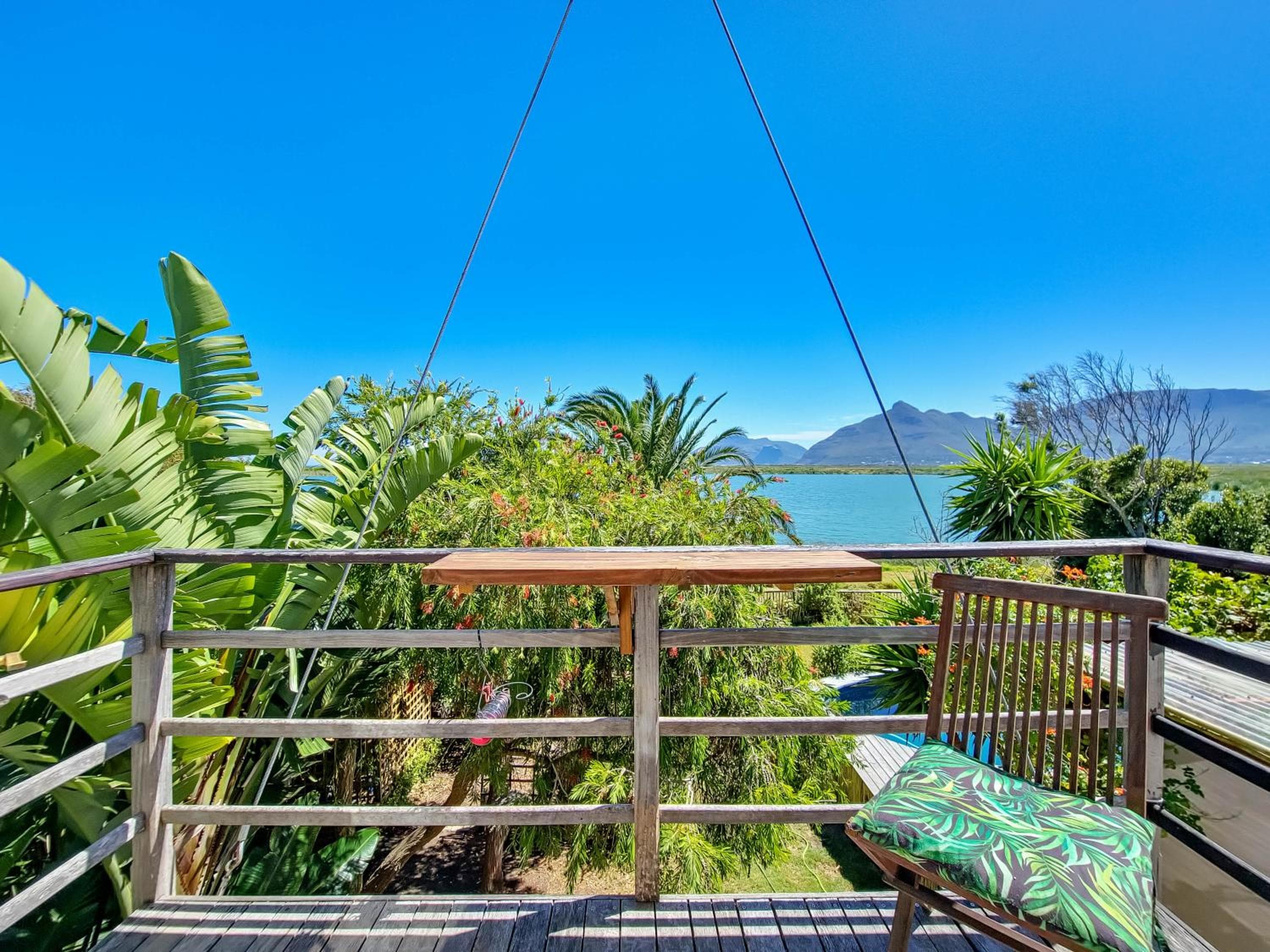 Flamingo View
