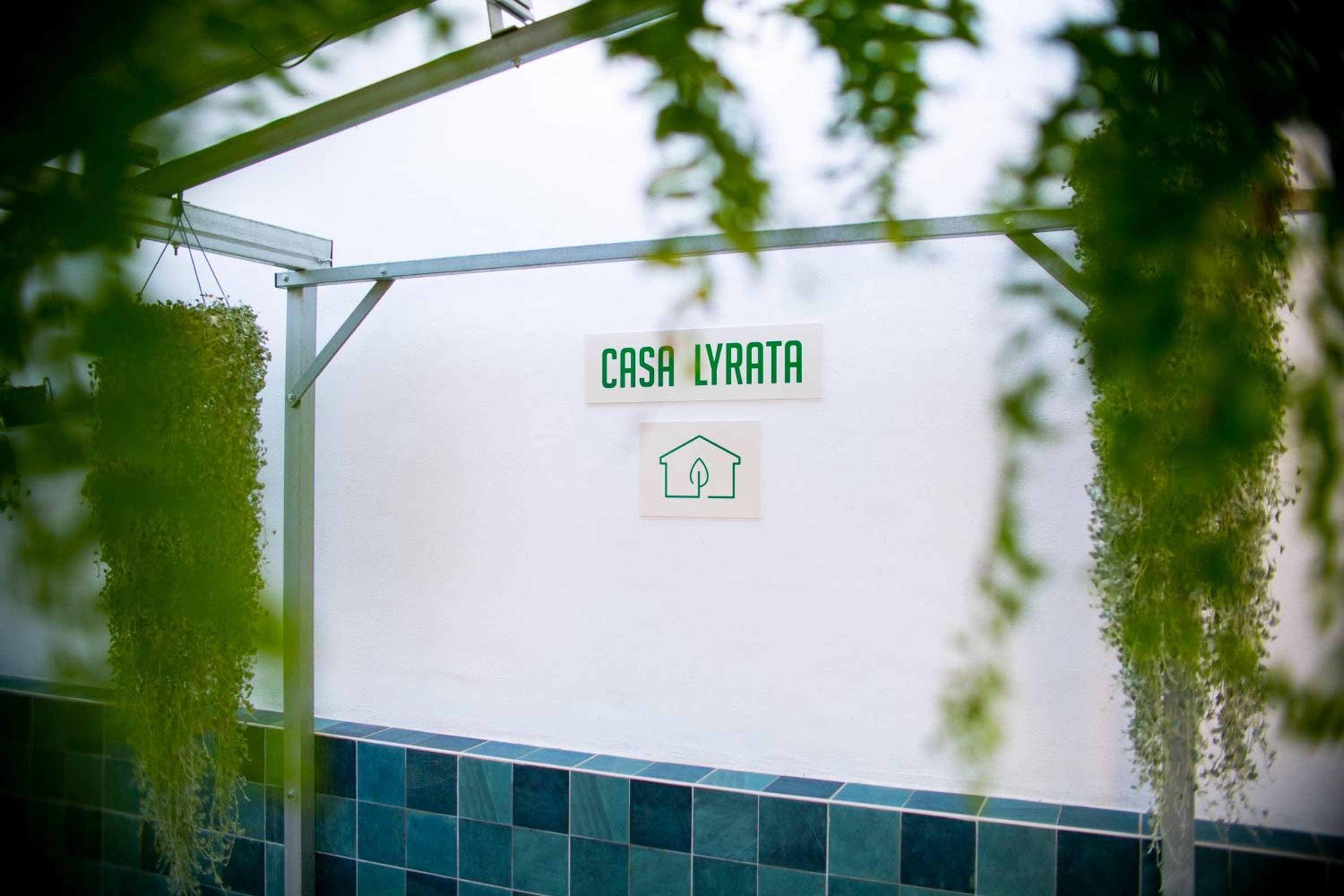 Casa Lyrata Comfort & Design
