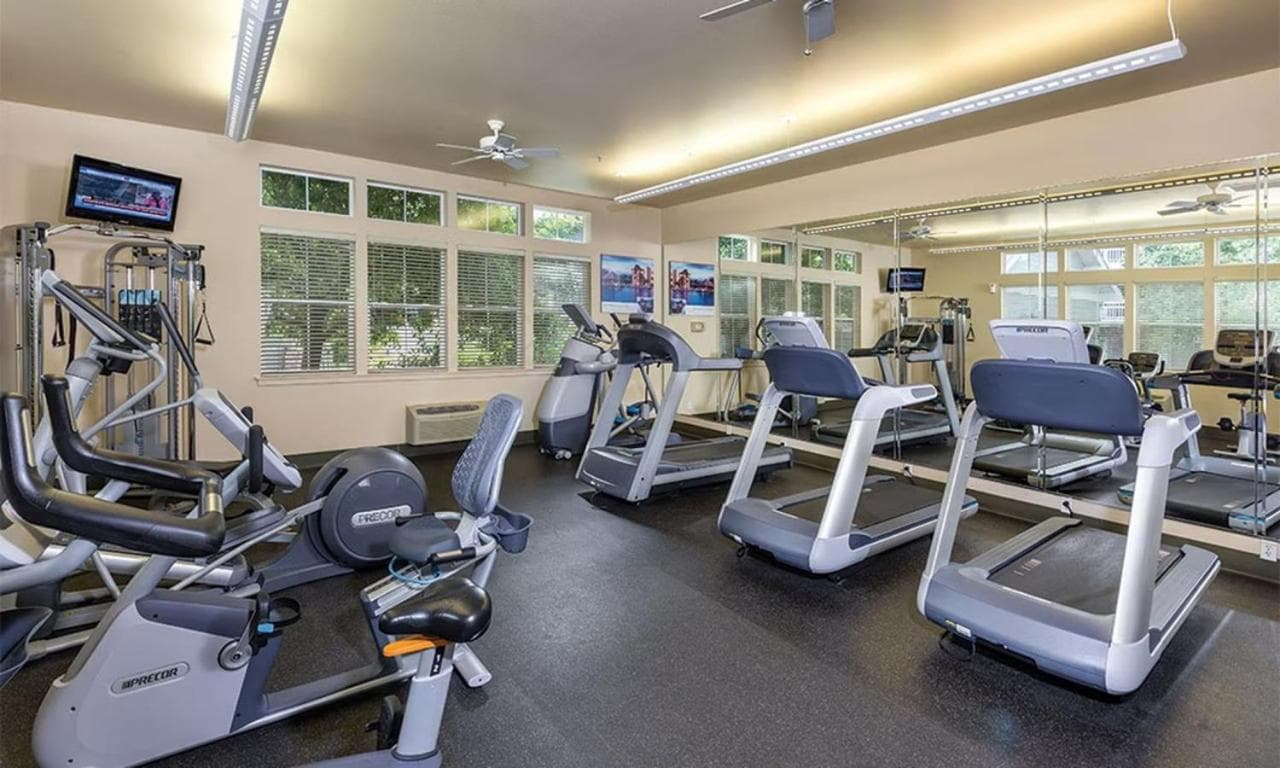 Worldmark Windsor 1BD