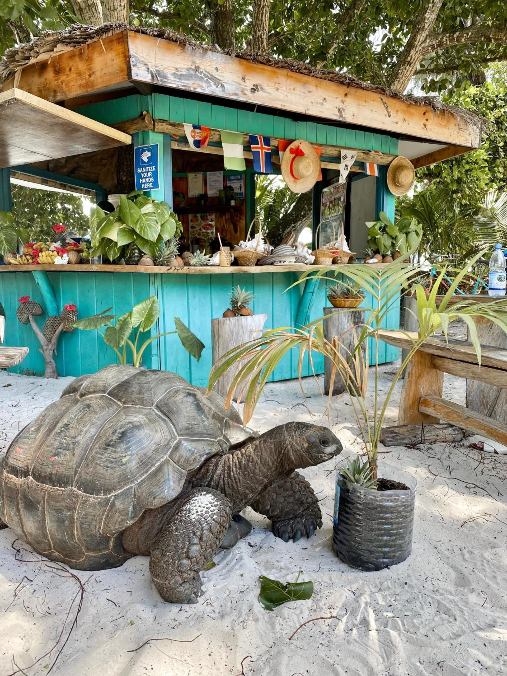 La Digue Island Lodge