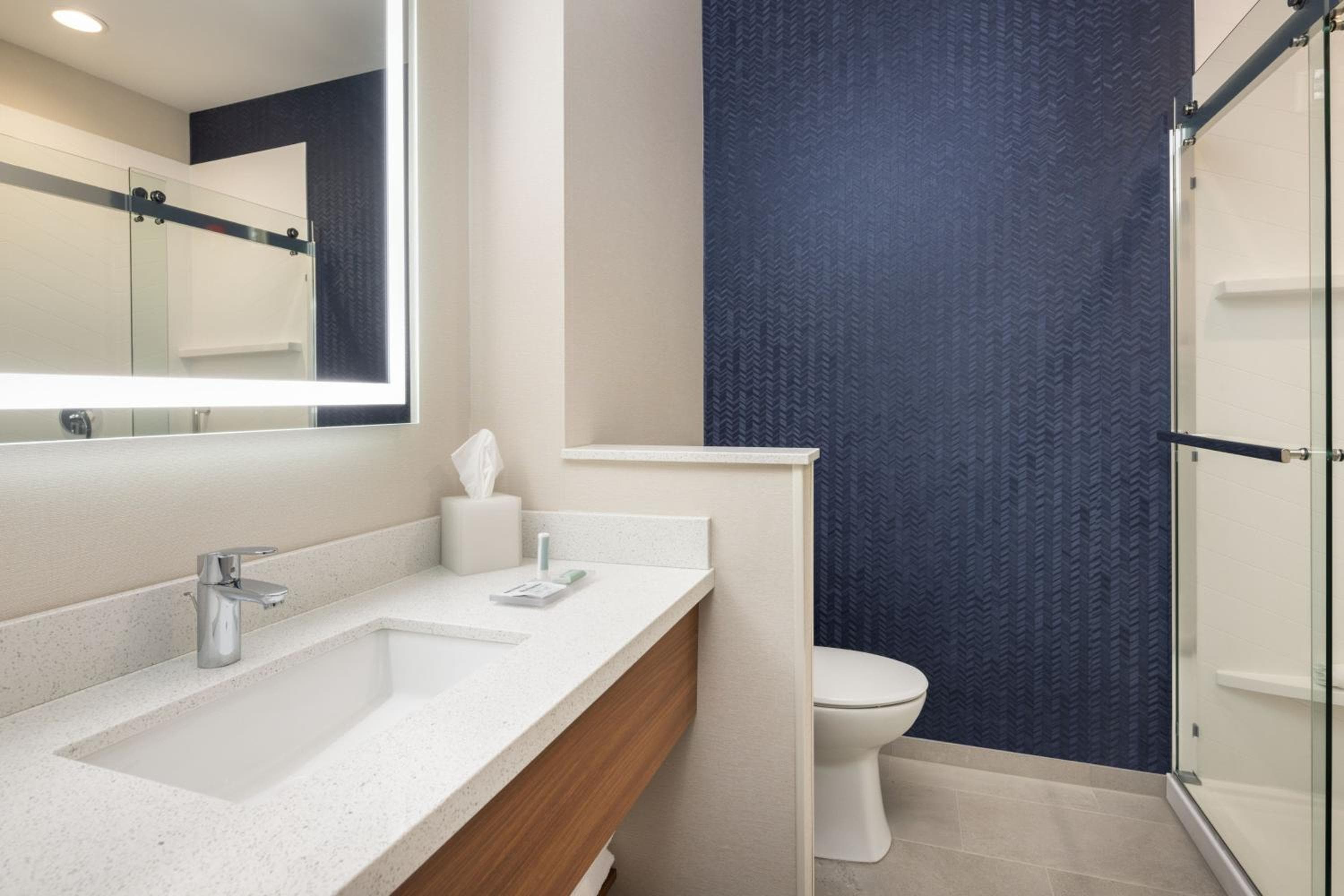 Fairfield by Marriott Inn & Suites Montrose