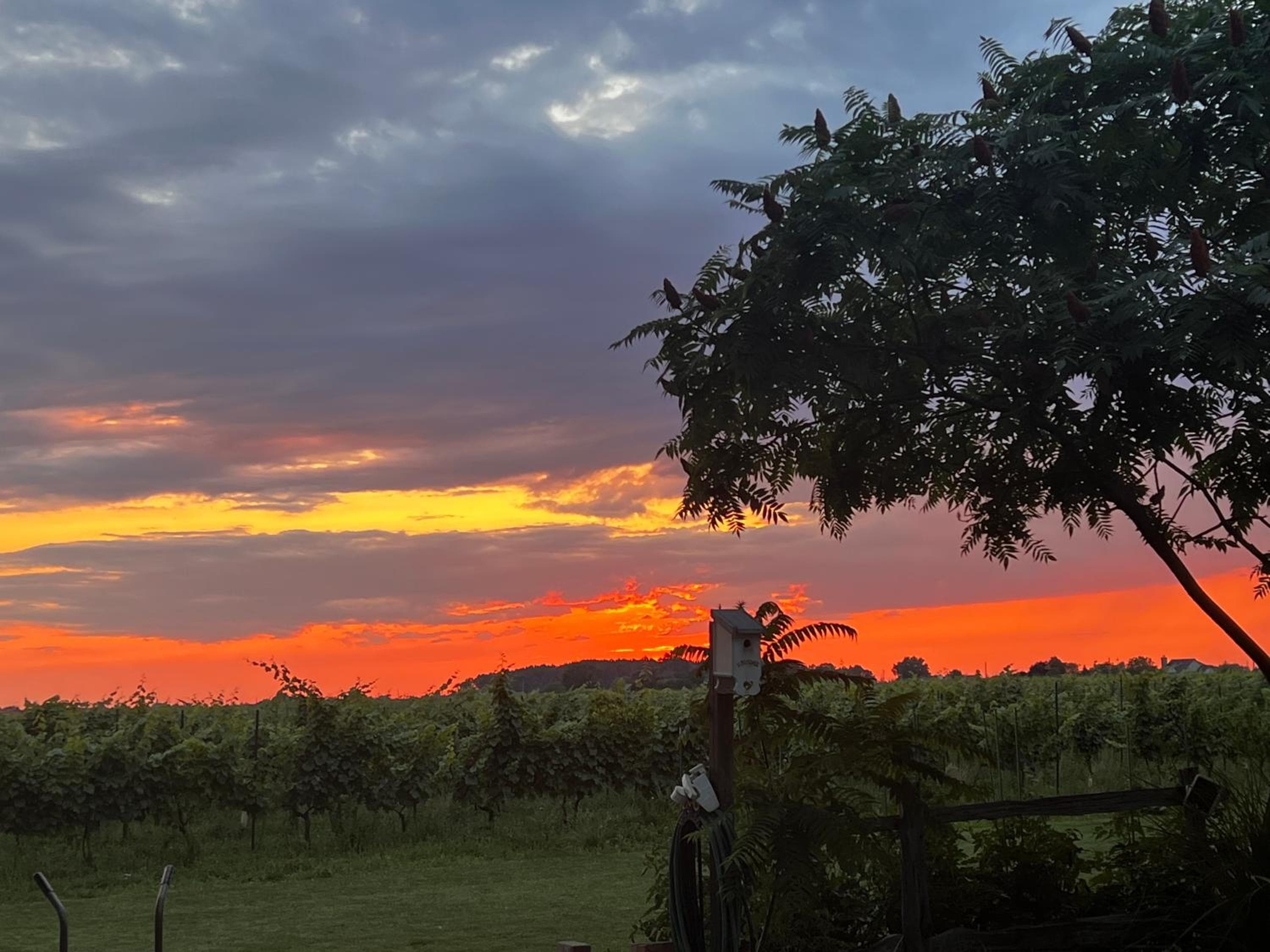 Sunset Suites in Niagara Wine Country