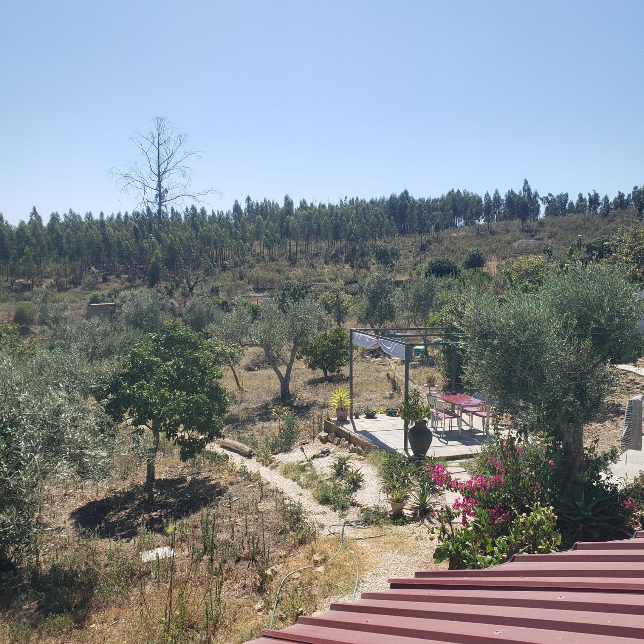 Casa Hortensia