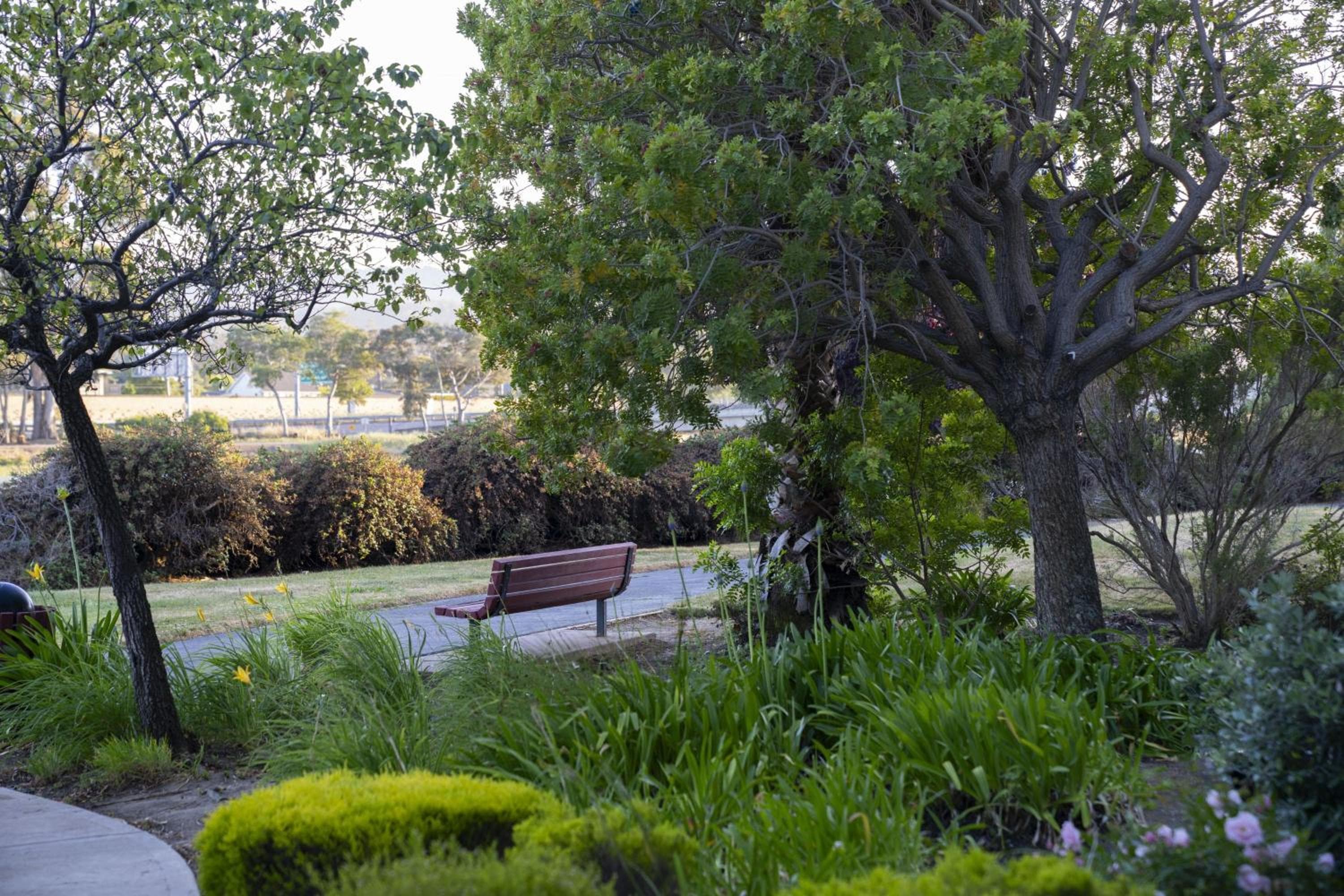 Courtyard San Francisco Airport Burlingame