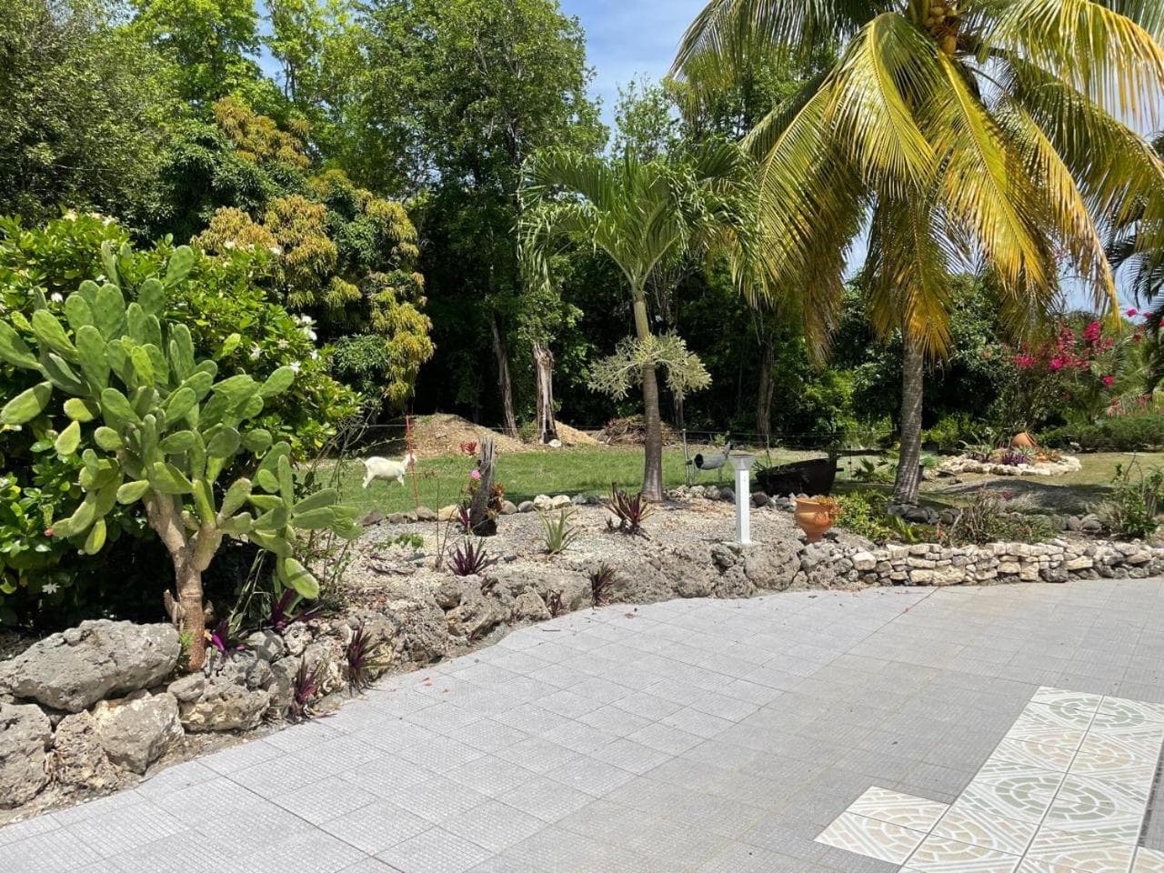 L'ASETA Paradise