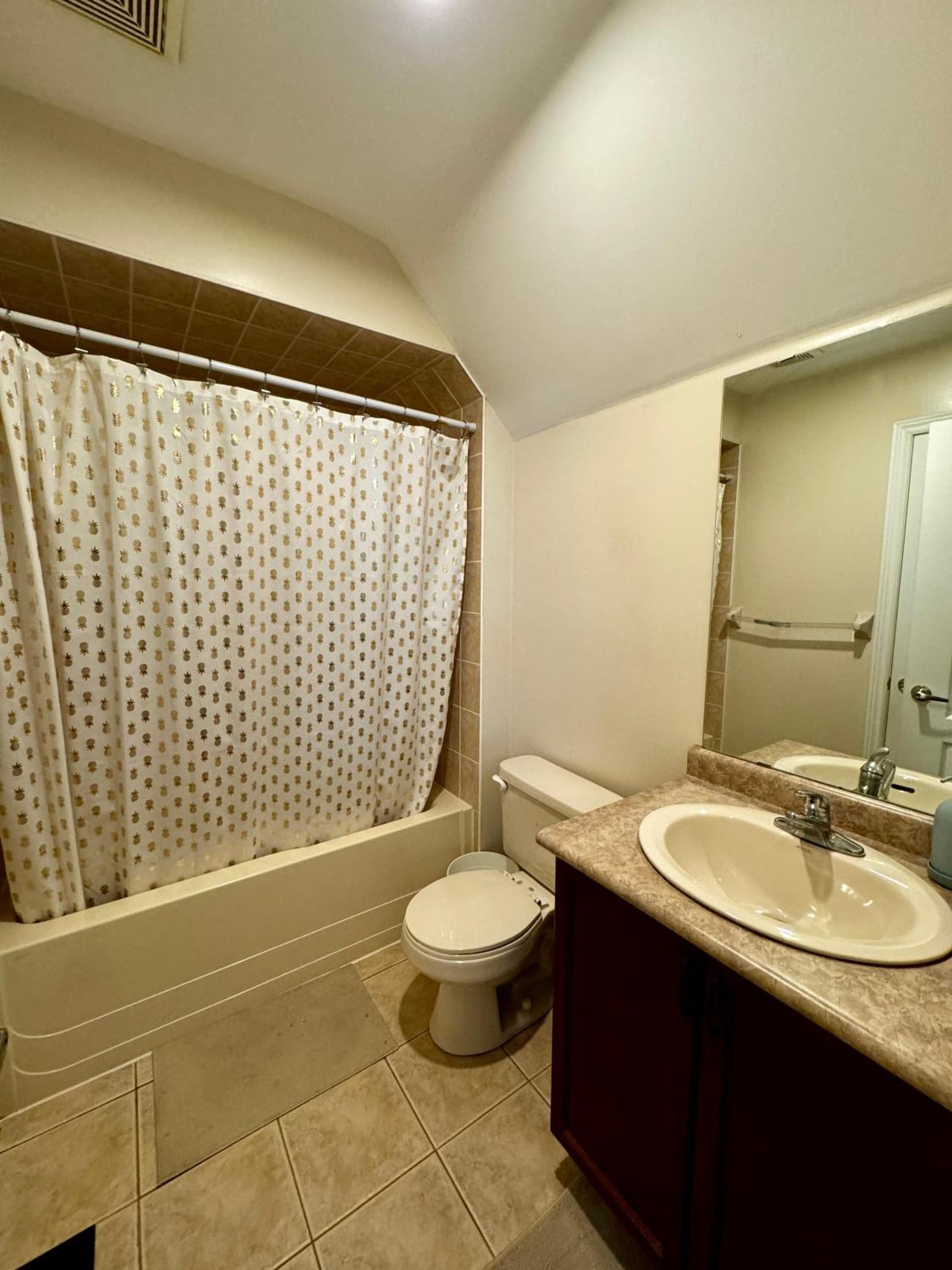 Upscale Coach House